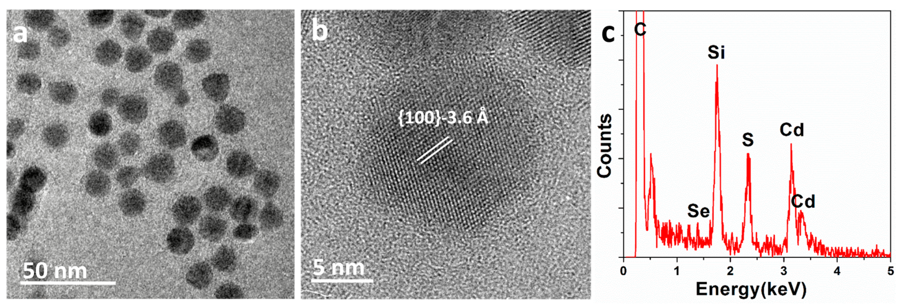Nanomaterials 13 03082 g001