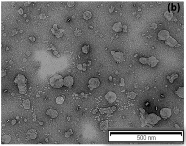 Nanomaterials 13 03088 i001