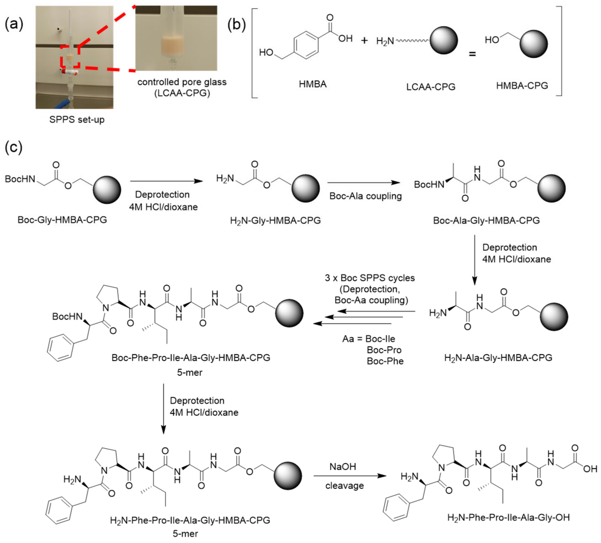 Nanomaterials 13 03092 g001