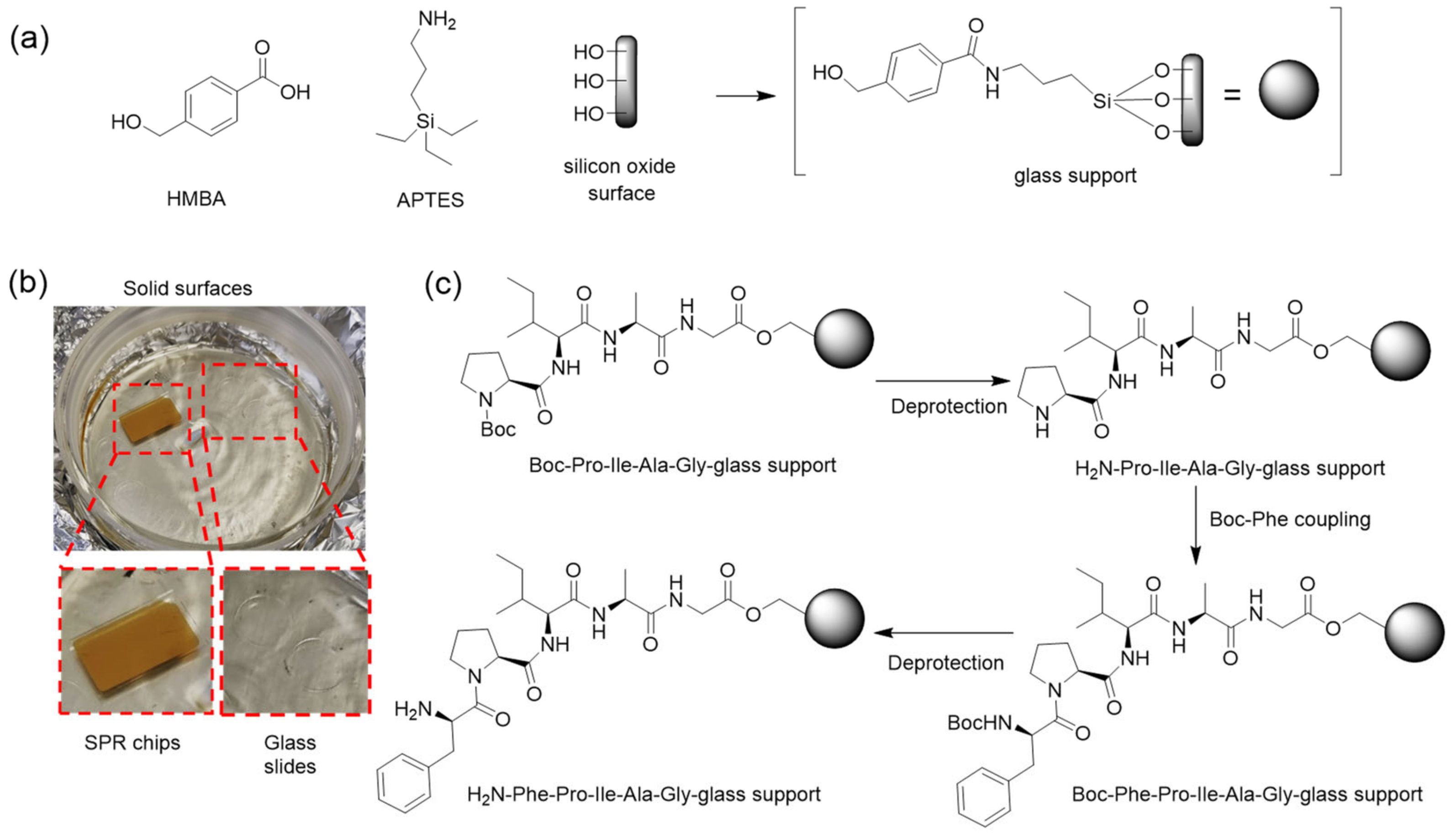 Nanomaterials 13 03092 g003