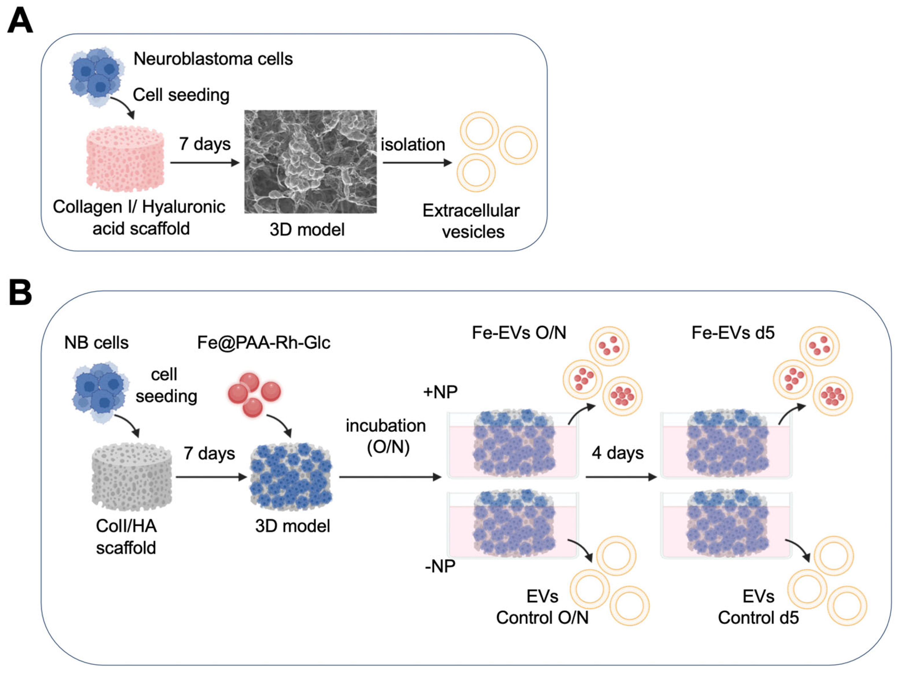 Nanomaterials 13 03097 g001