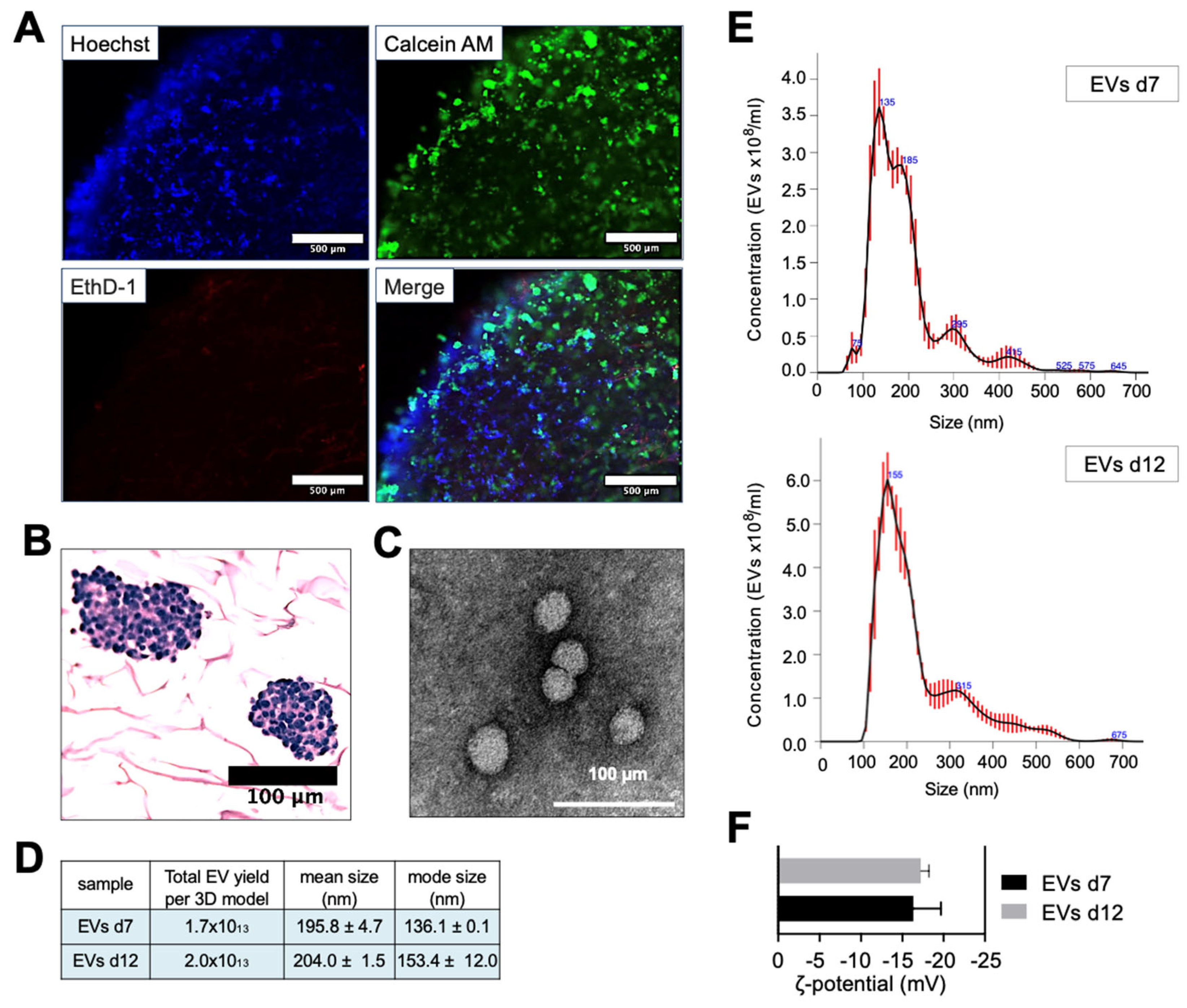 Nanomaterials 13 03097 g003