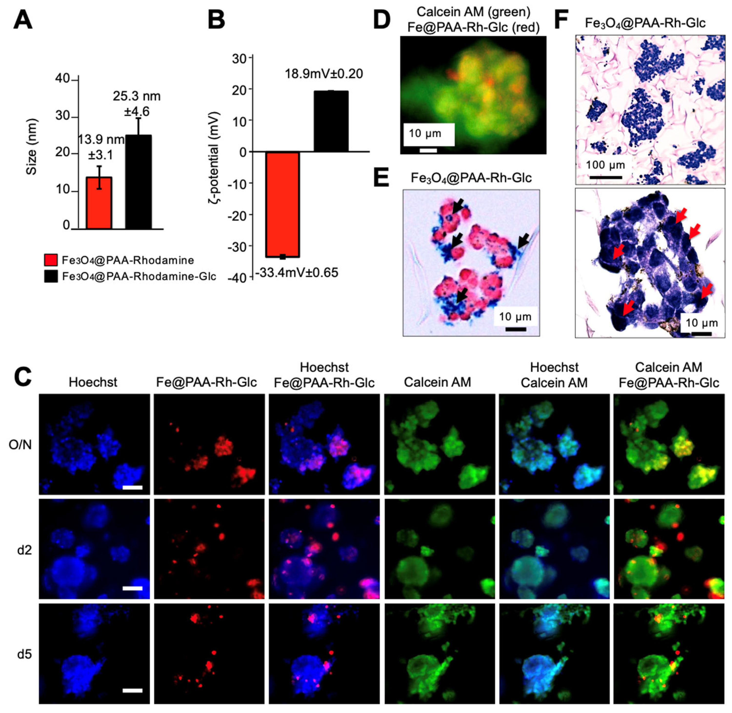 Nanomaterials 13 03097 g005