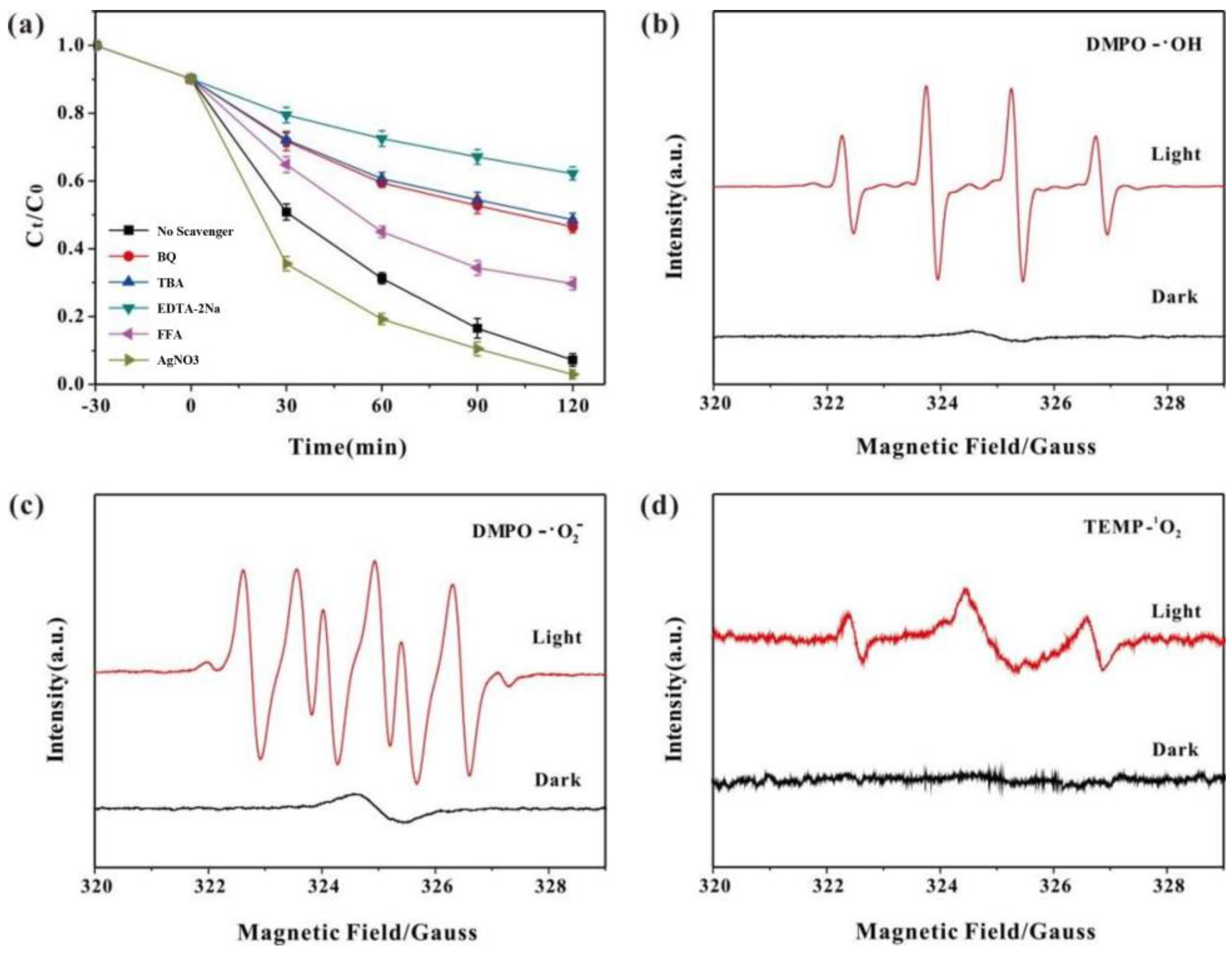 Nanomaterials 13 03116 g008
