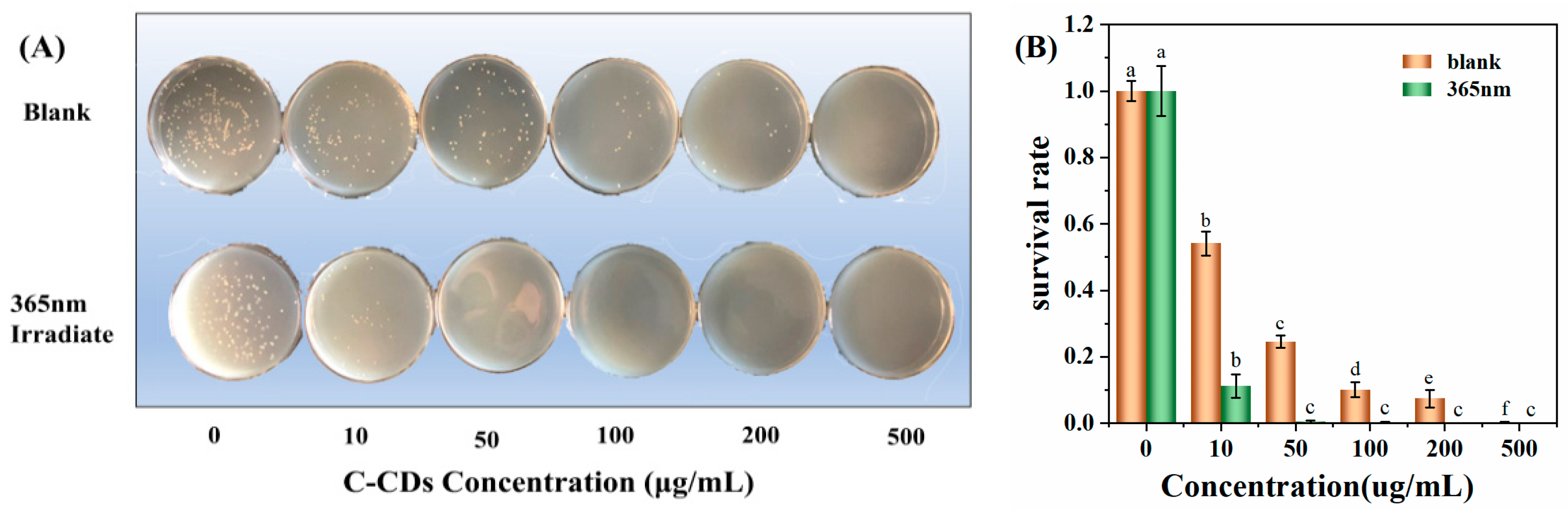 Nanomaterials 13 03122 g007a