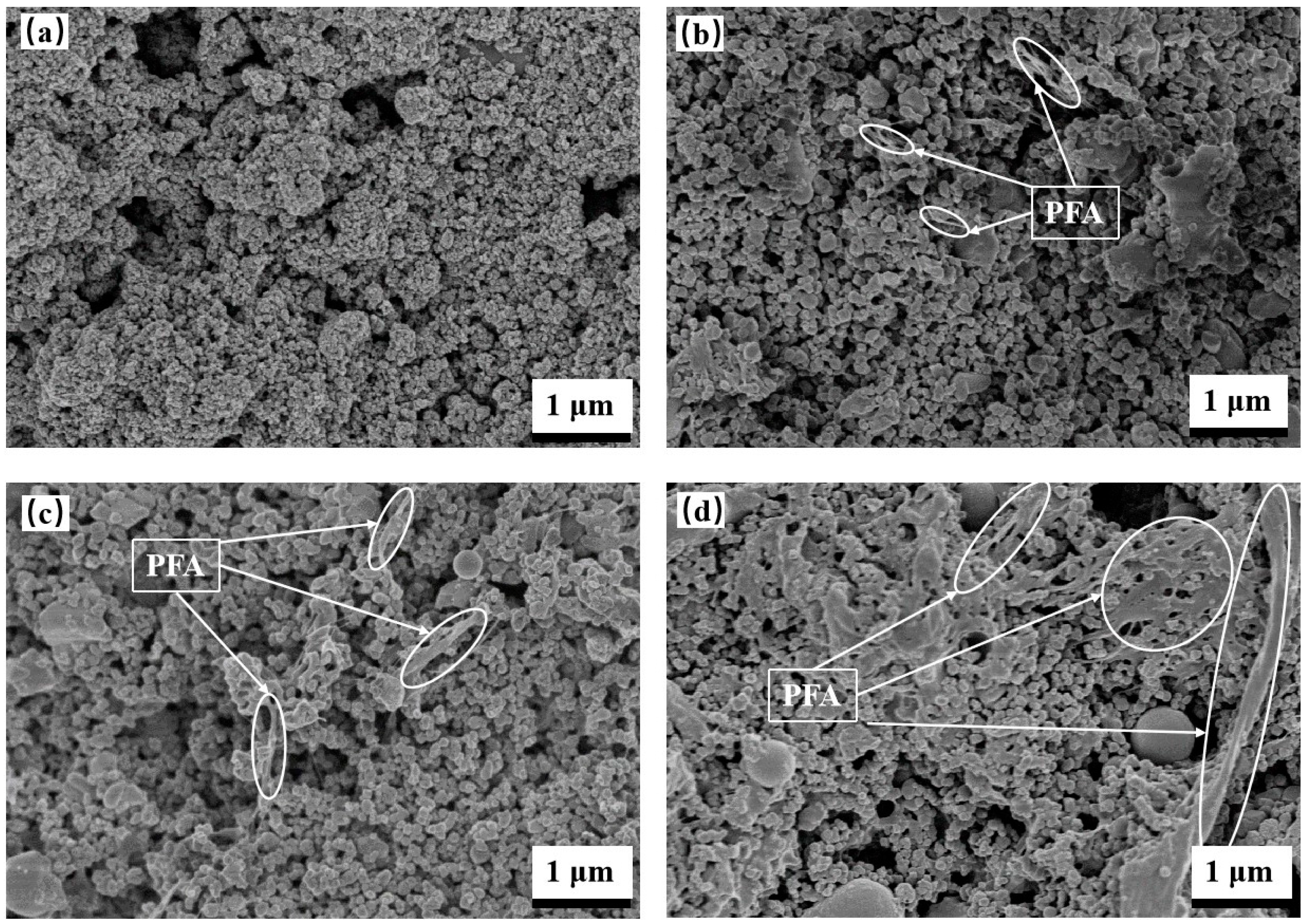 Nanomaterials 13 03123 g002