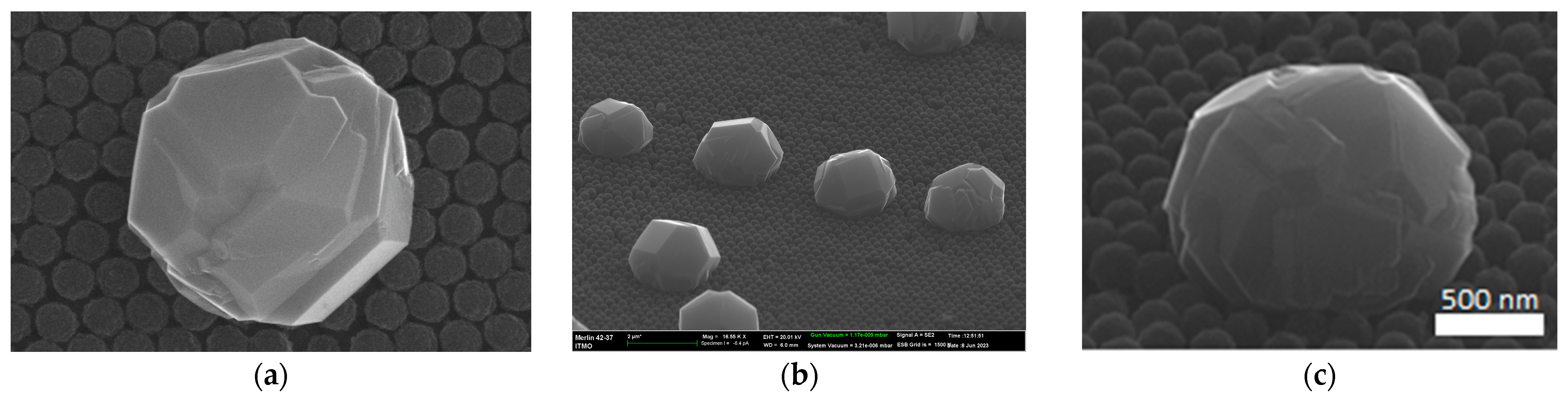 Nanomaterials 13 03124 g001 Nanomaterials 13 03124 g001