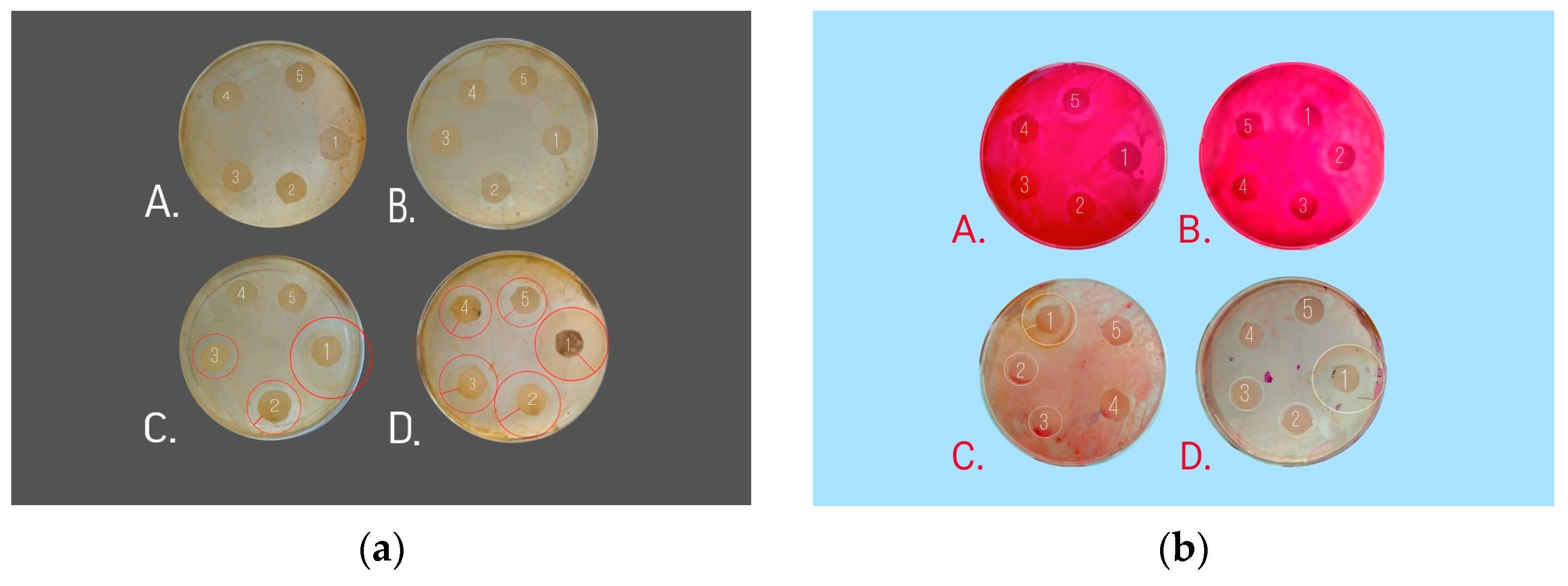 Nanomaterials 13 03128 g010