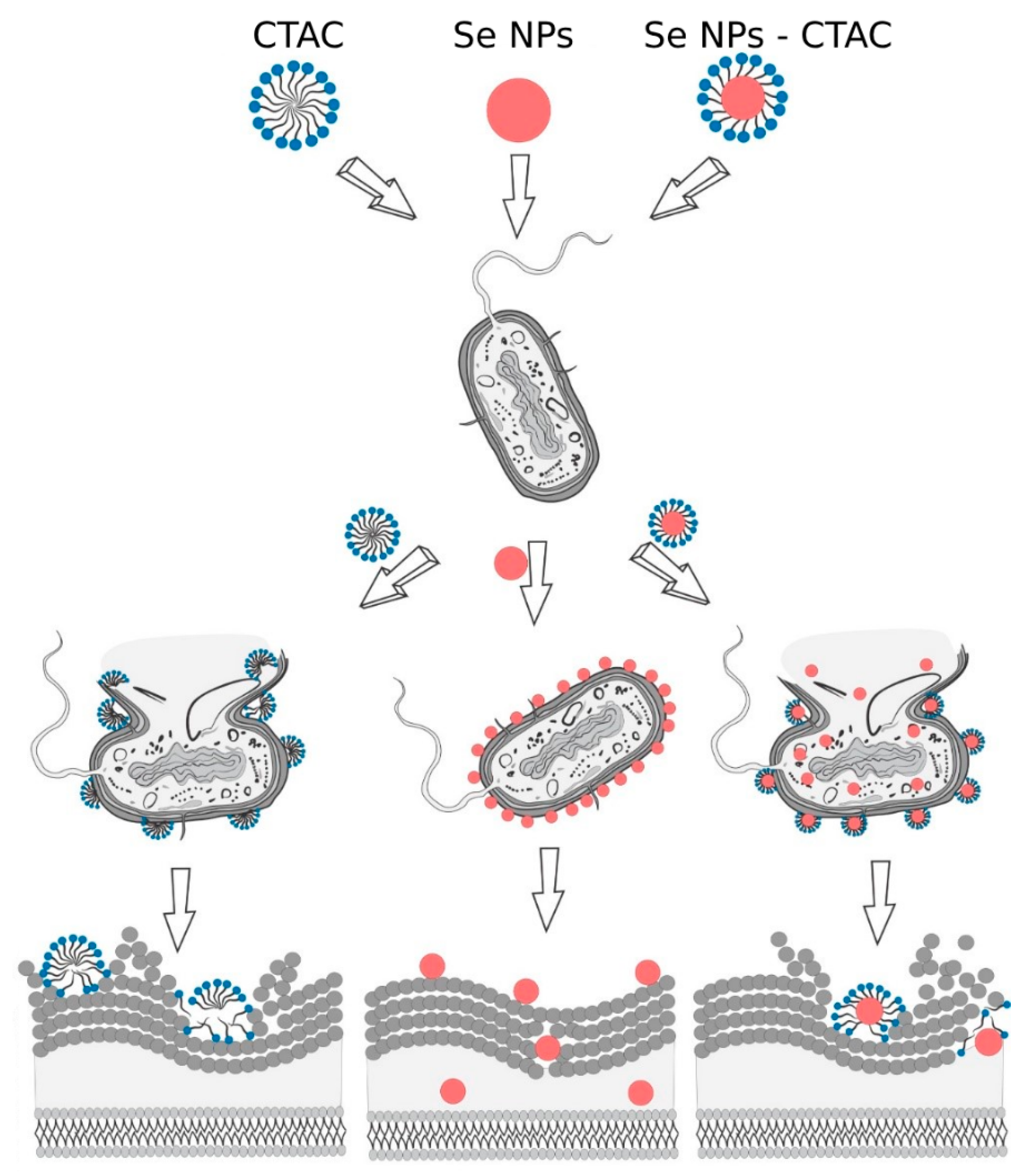 Nanomaterials 13 03128 g011