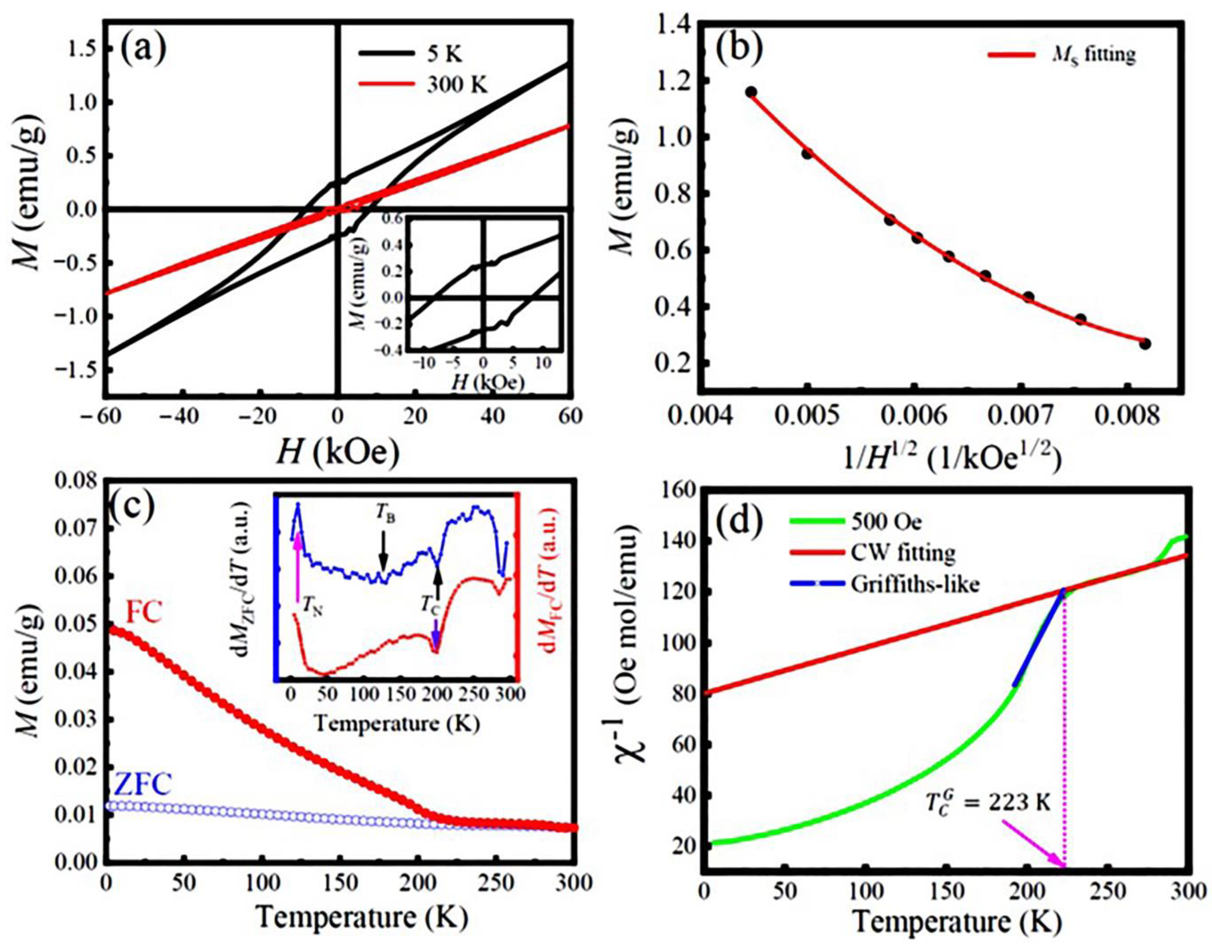 Nanomaterials 13 03132 g005