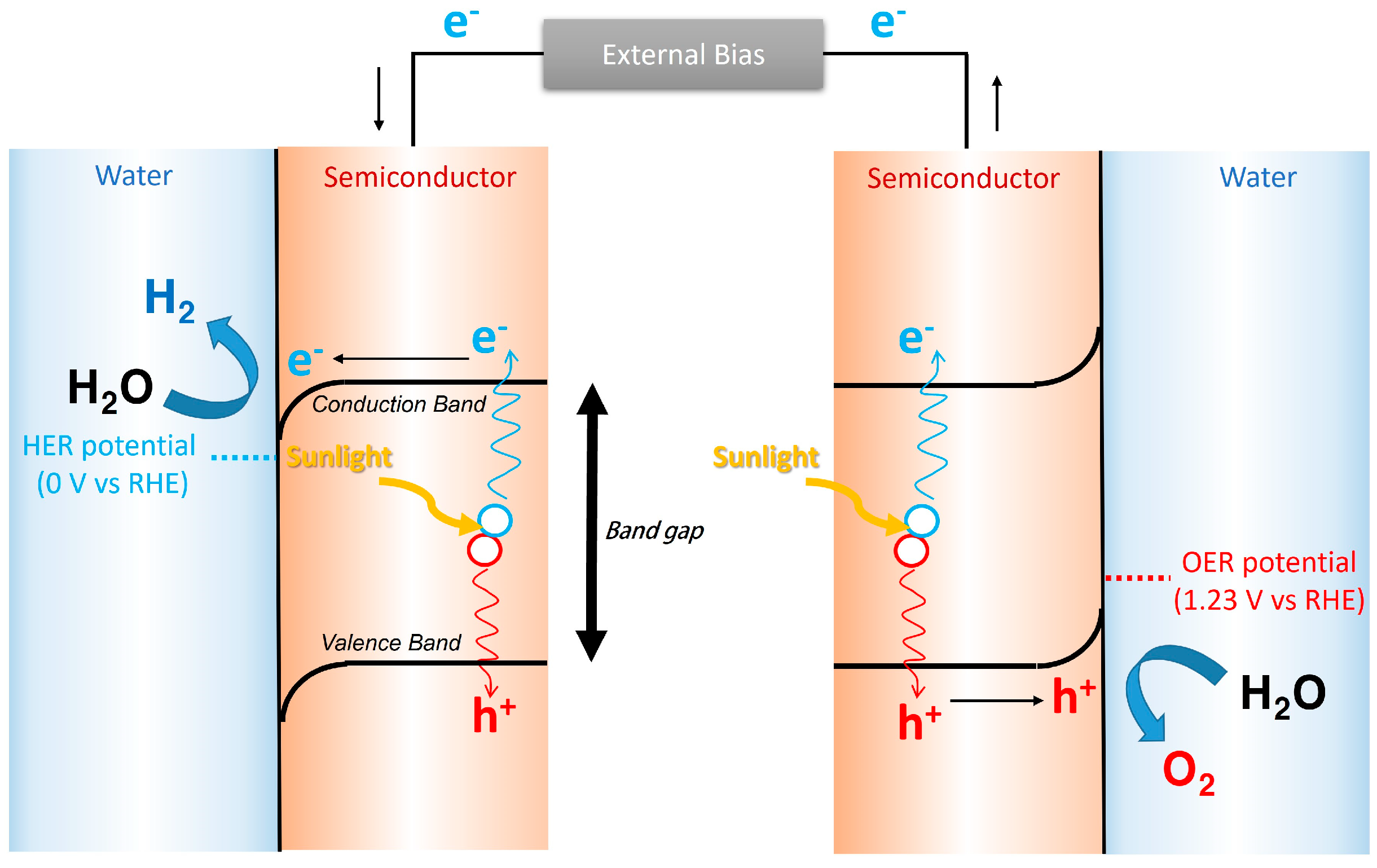 Nanomaterials 13 03142 g001