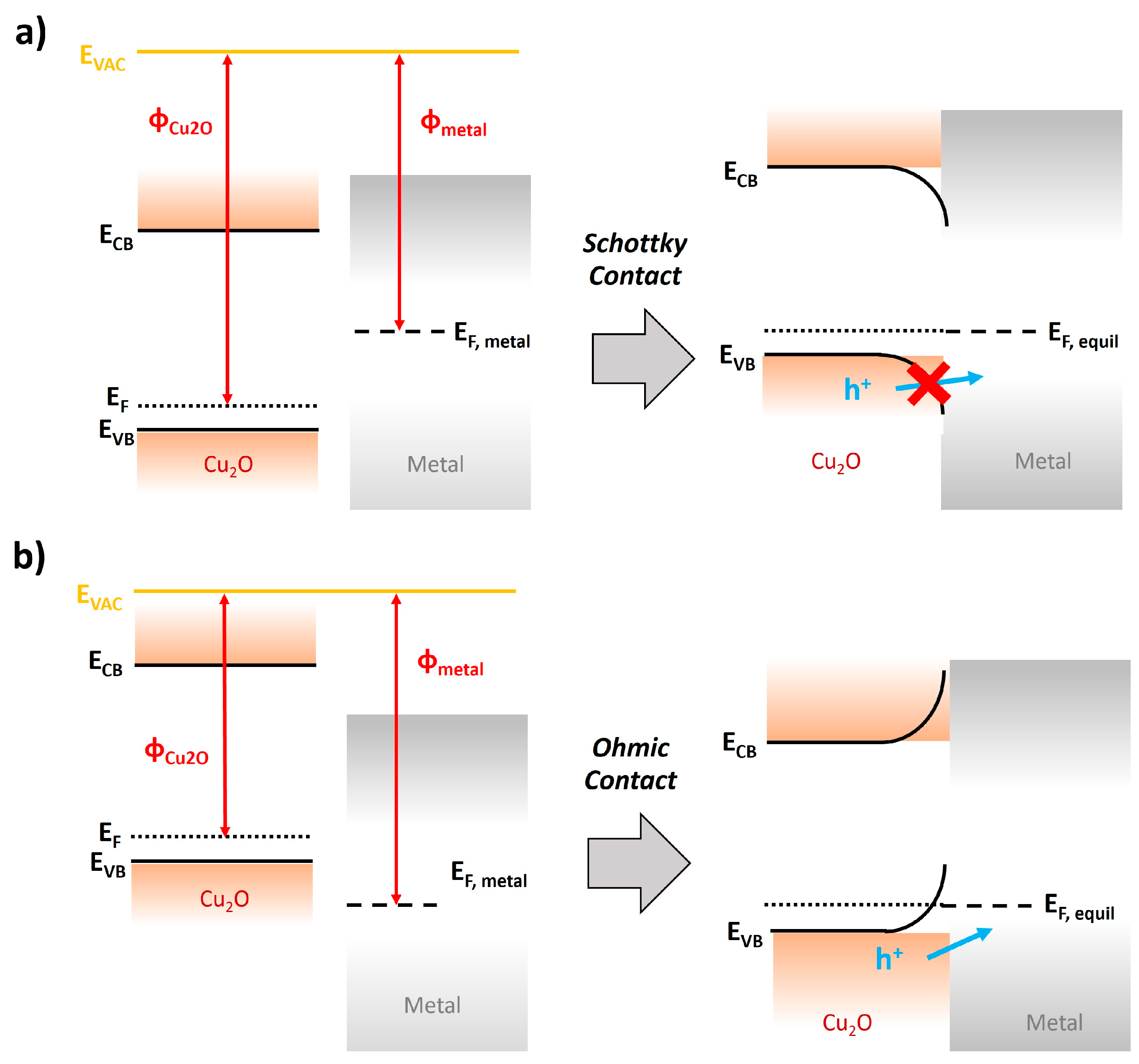 Nanomaterials 13 03142 g008