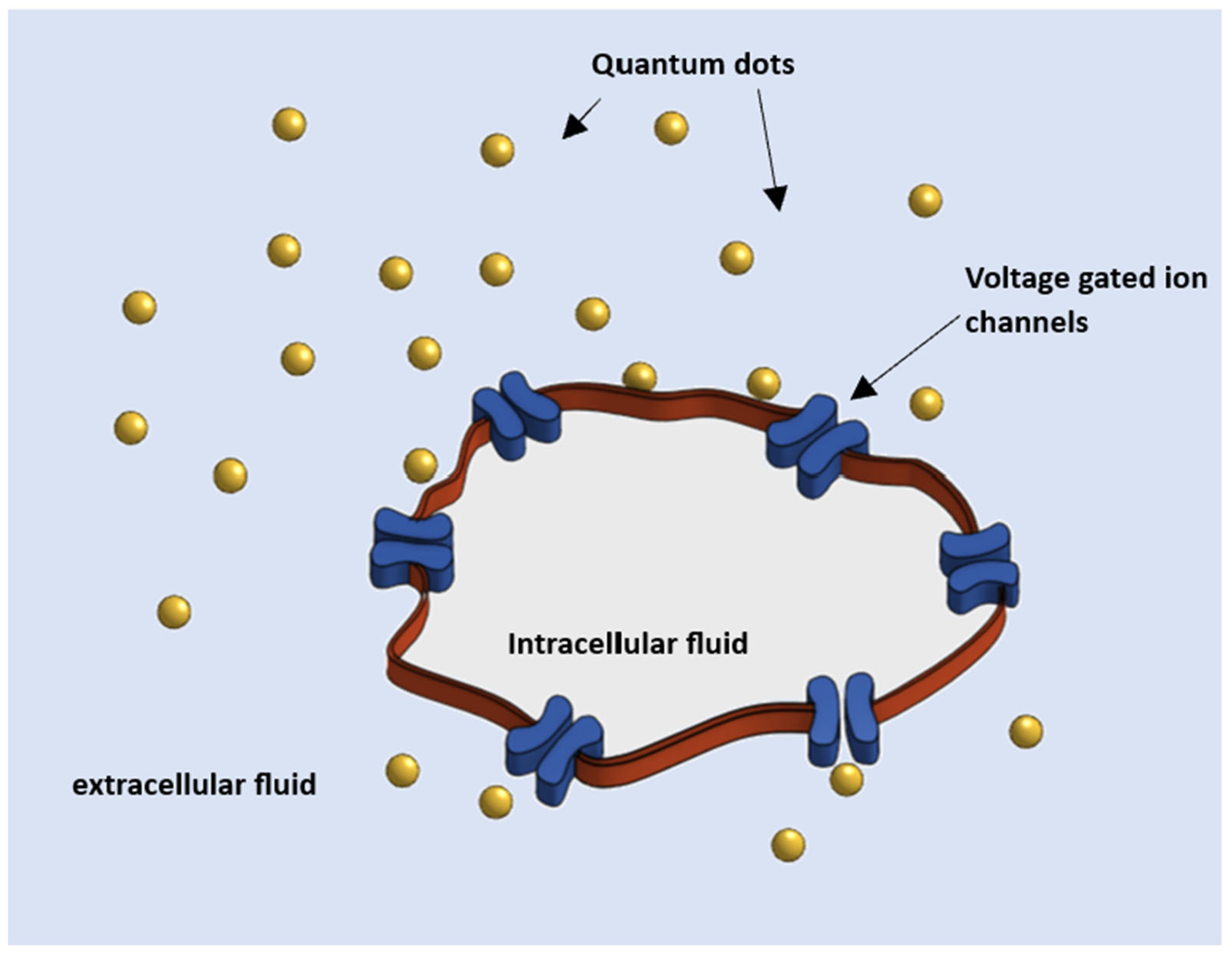 Nanomaterials 13 03143 g001 Nanomaterials 13 03143 g001
