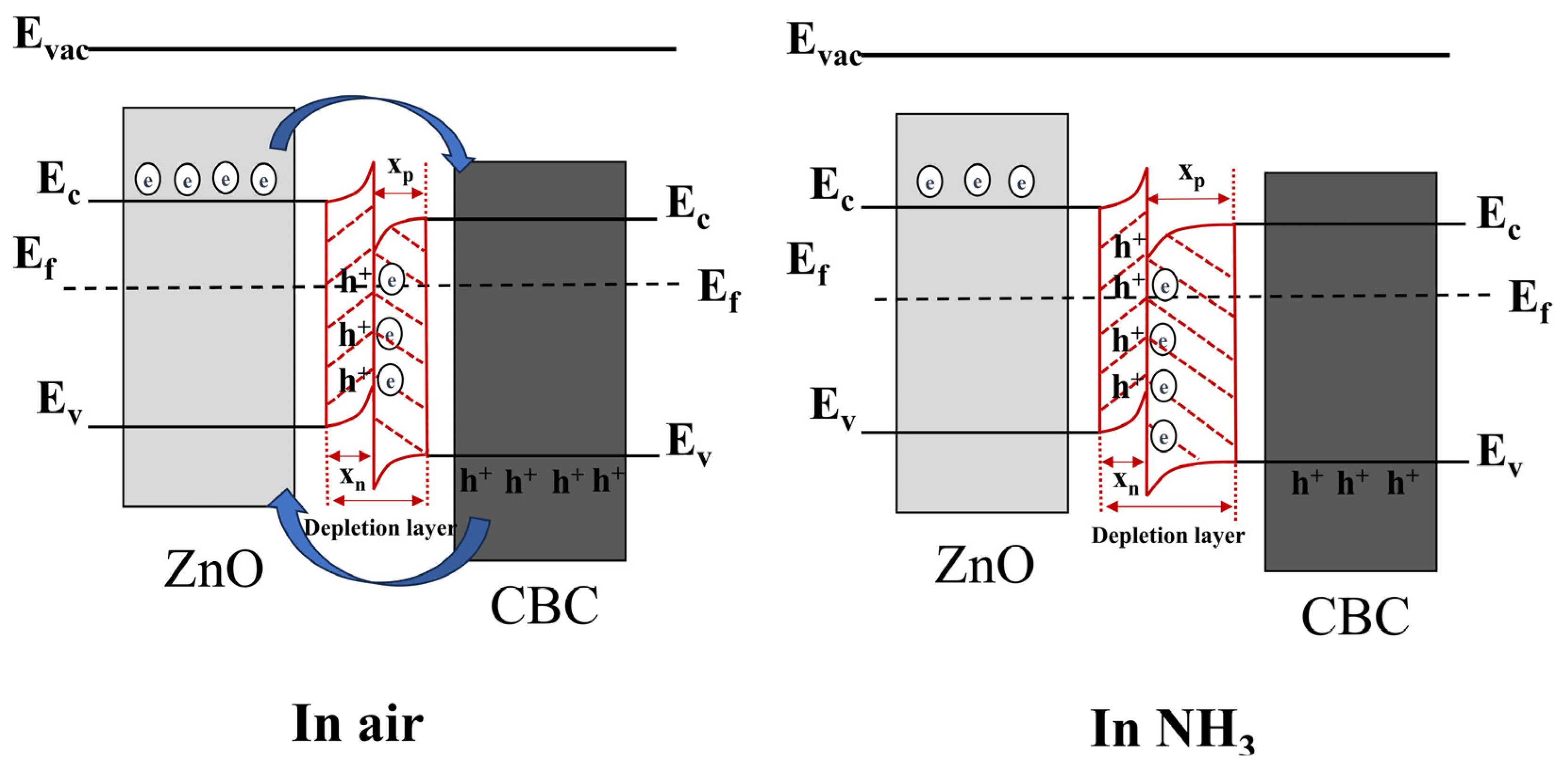 Nanomaterials 13 03151 g011