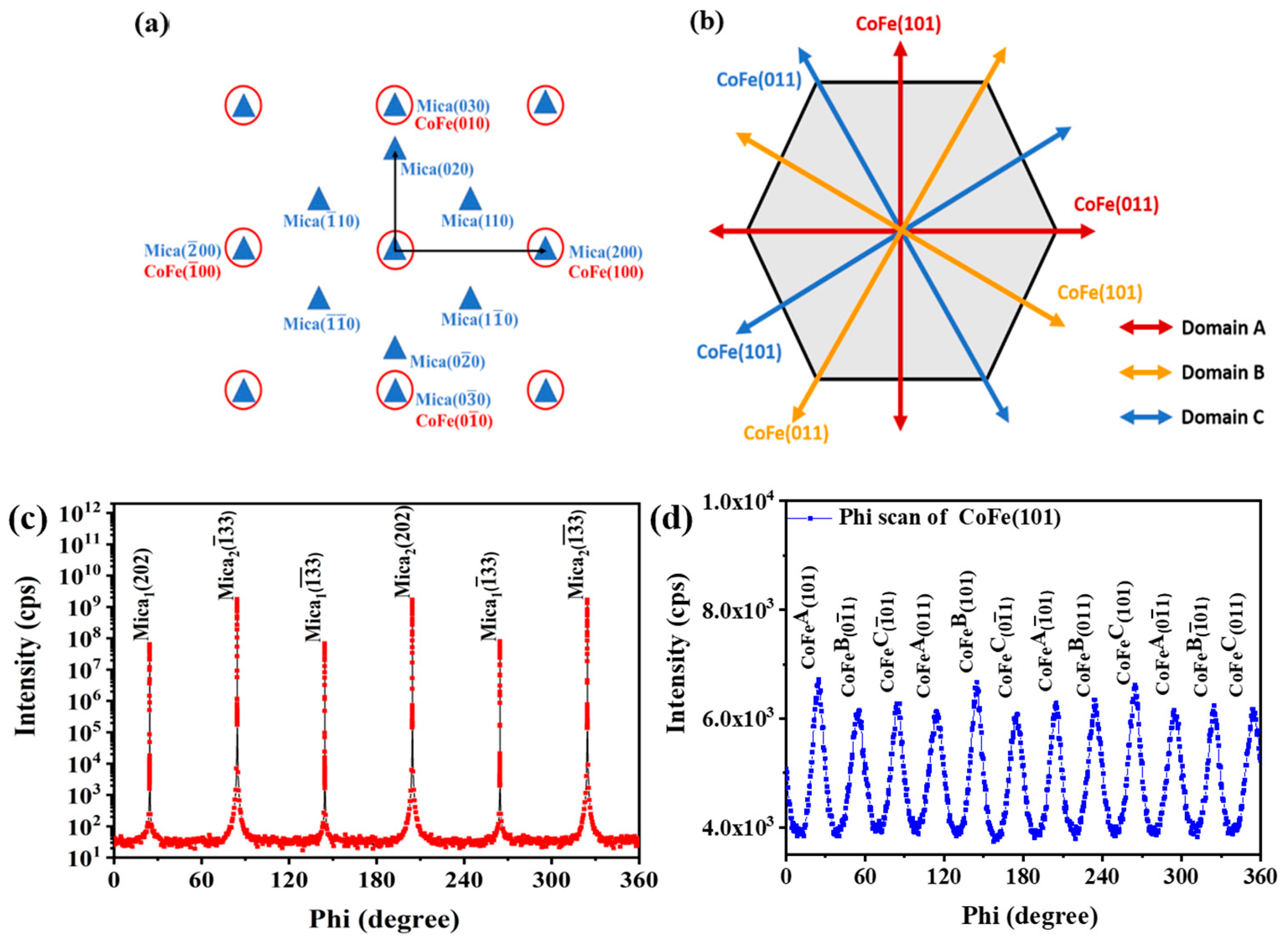 Nanomaterials 13 03154 g001
