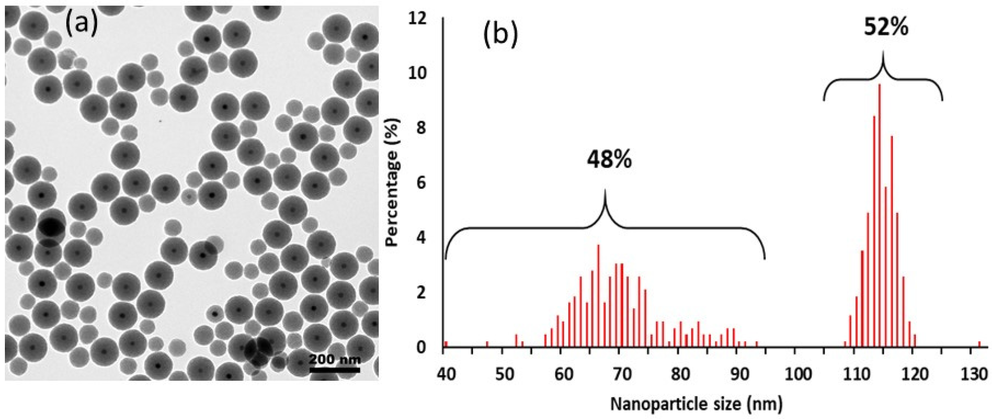 Nanomaterials 13 03155 g002