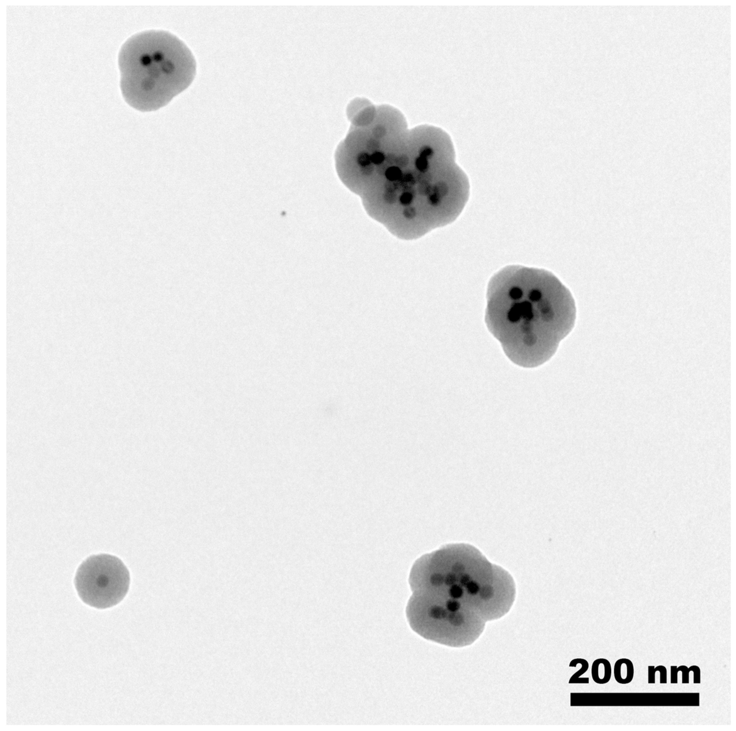 Nanomaterials 13 03155 g003