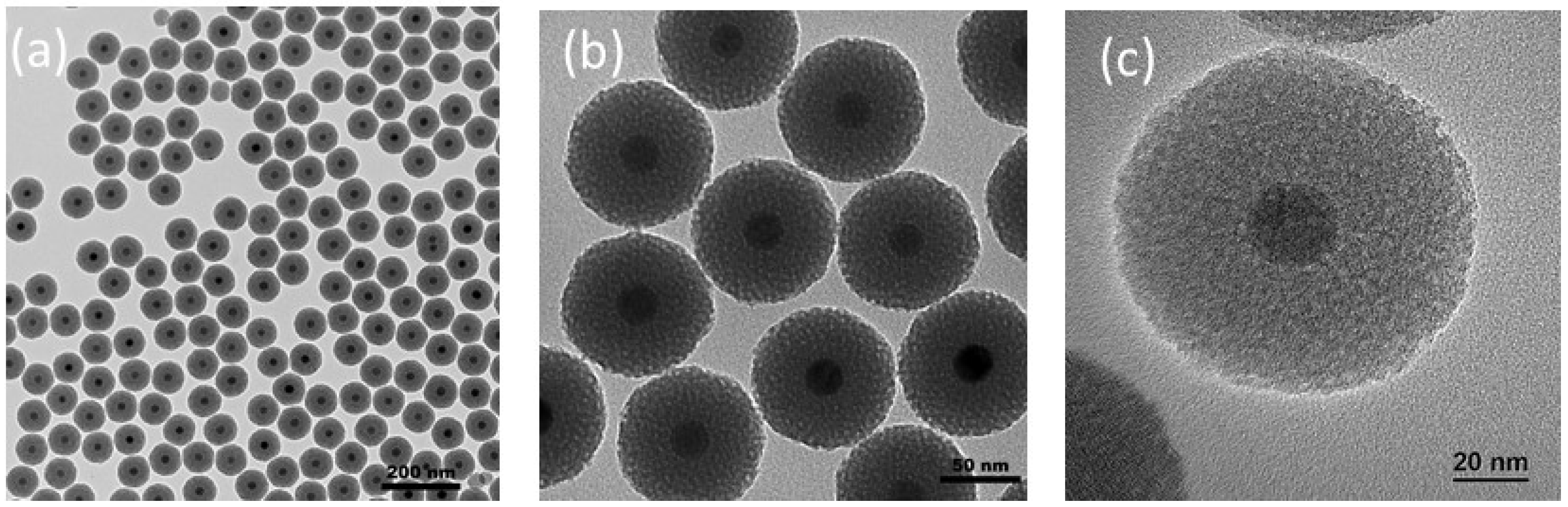 Nanomaterials 13 03155 g004
