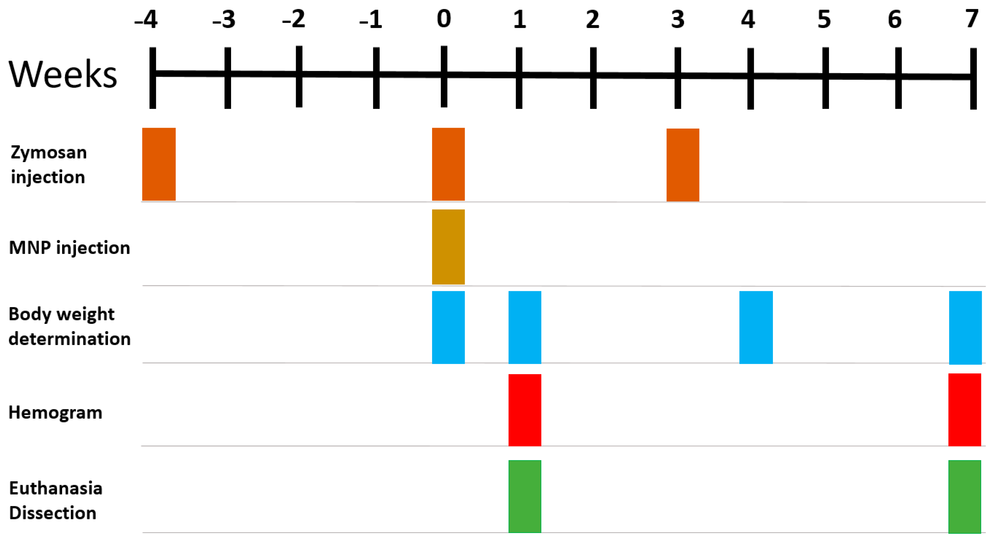 Nanomaterials 13 03166 g001