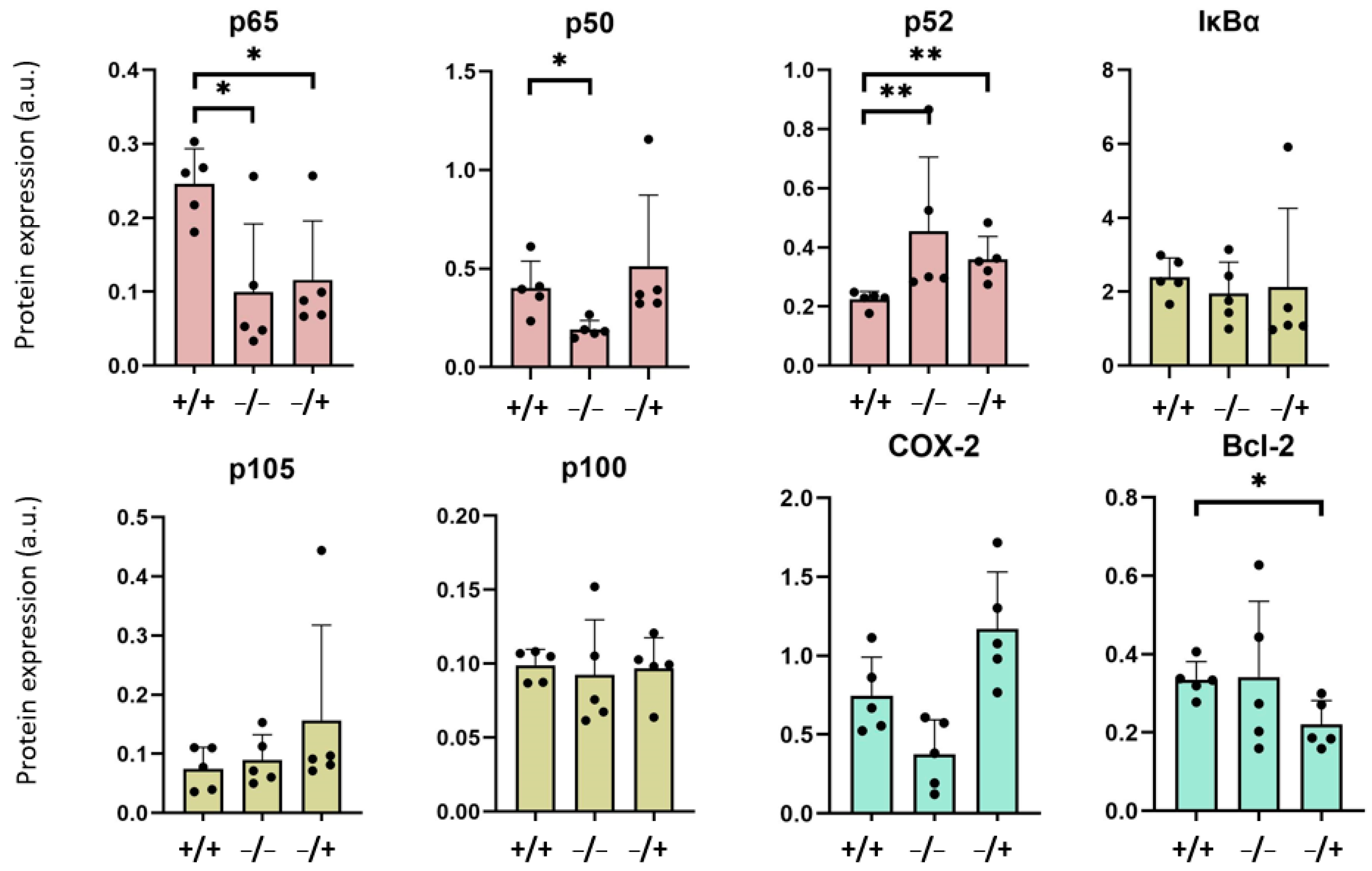 Nanomaterials 13 03166 g004