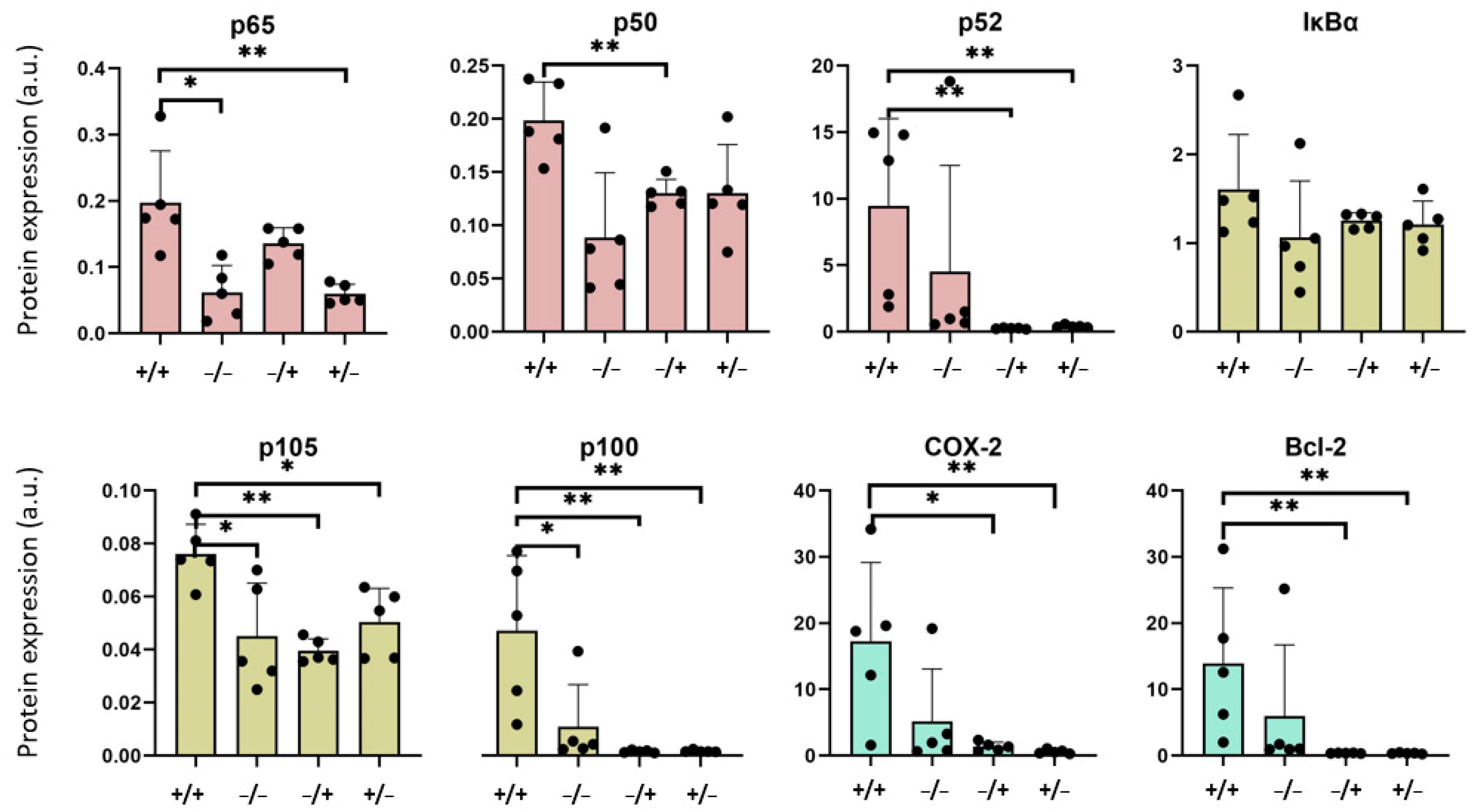 Nanomaterials 13 03166 g005