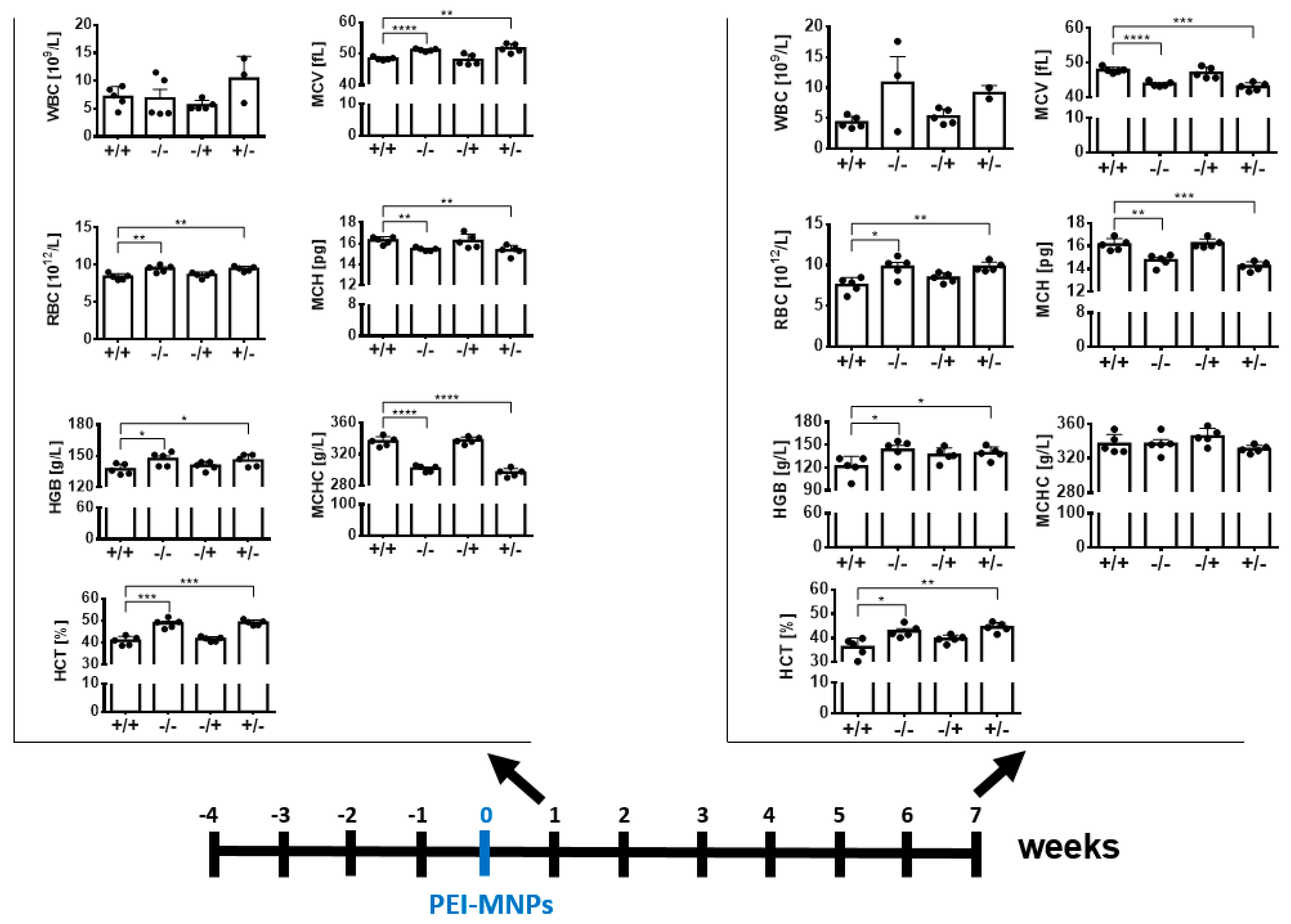 Nanomaterials 13 03166 g006