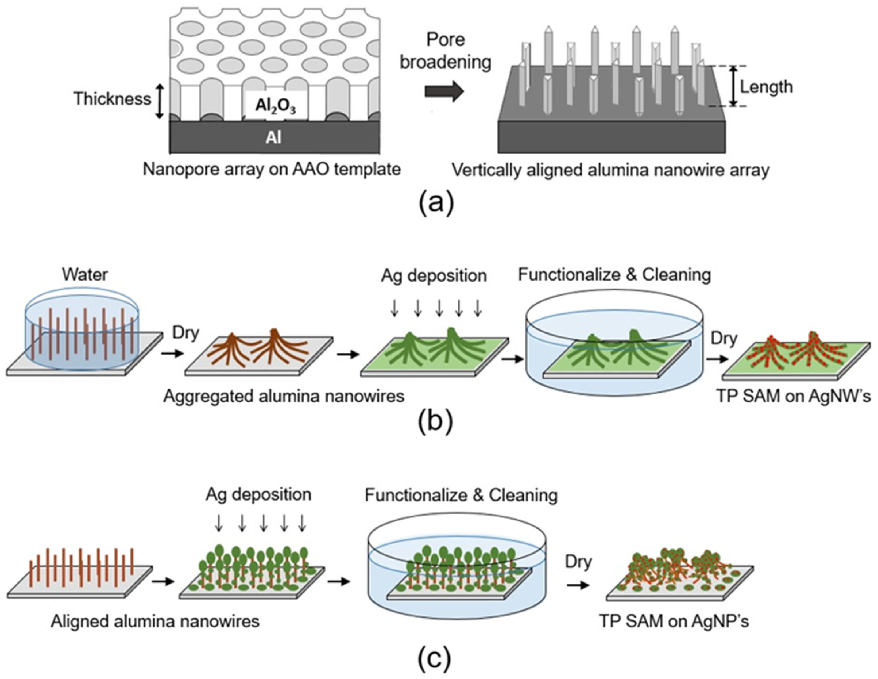 Nanomaterials 13 03169 g001 Nanomaterials 13 03169 g001