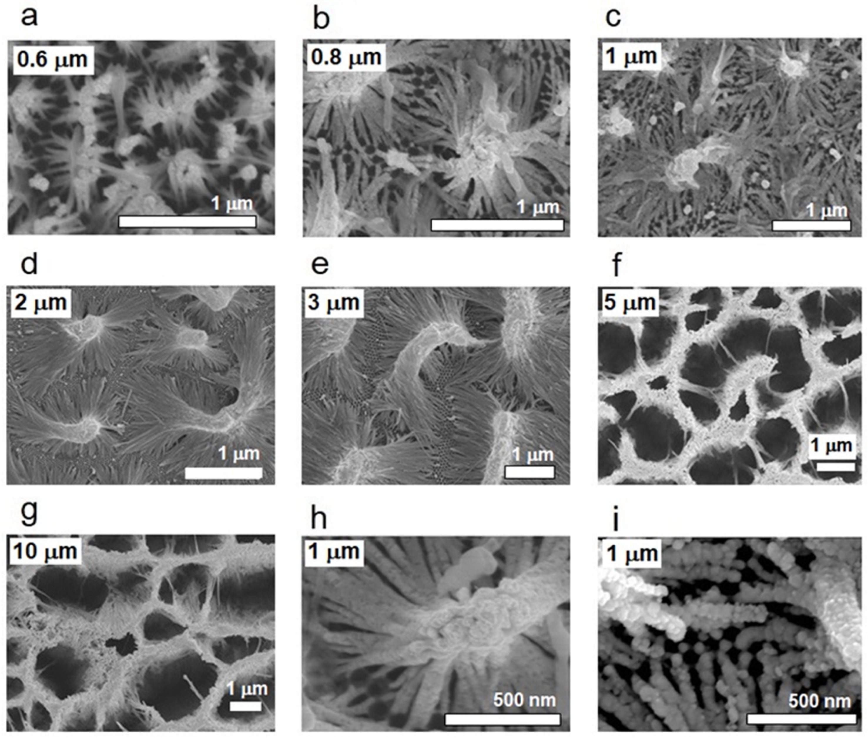 Nanomaterials 13 03169 g002 Nanomaterials 13 03169 g002