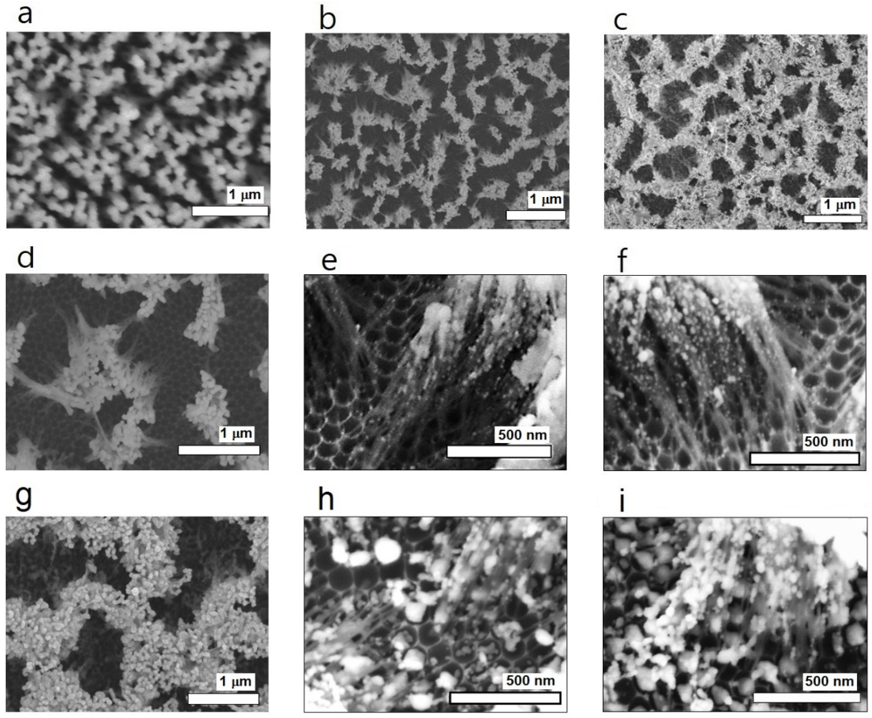 Nanomaterials 13 03169 g005 Nanomaterials 13 03169 g005