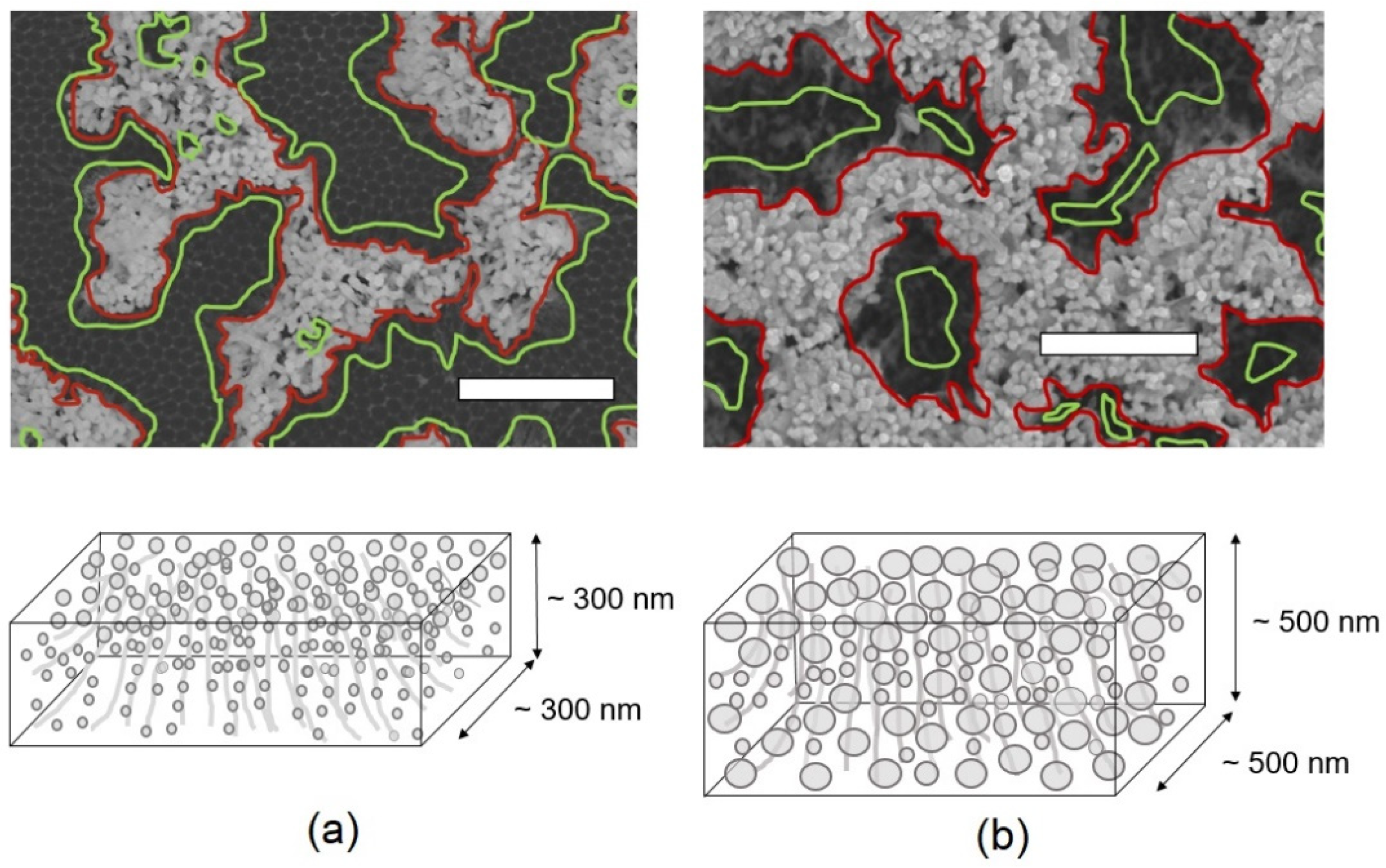 Nanomaterials 13 03169 g008 Nanomaterials 13 03169 g008