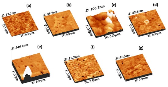 Nanomaterials 14 00005 g005