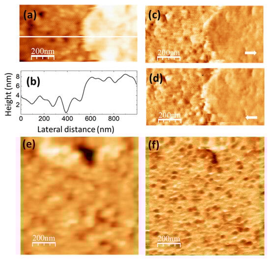 Nanomaterials 14 00005 g006