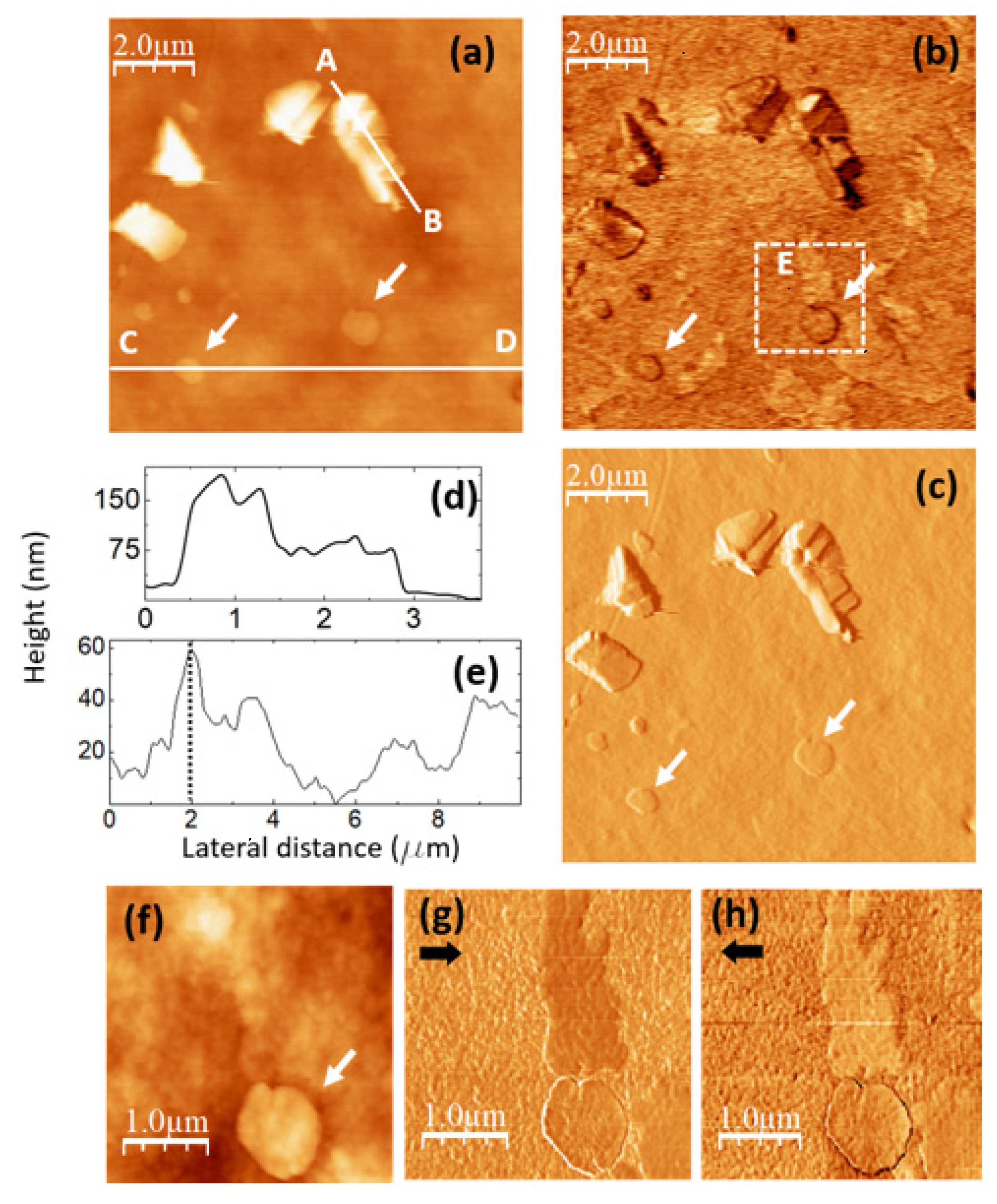 Nanomaterials 14 00005 g007