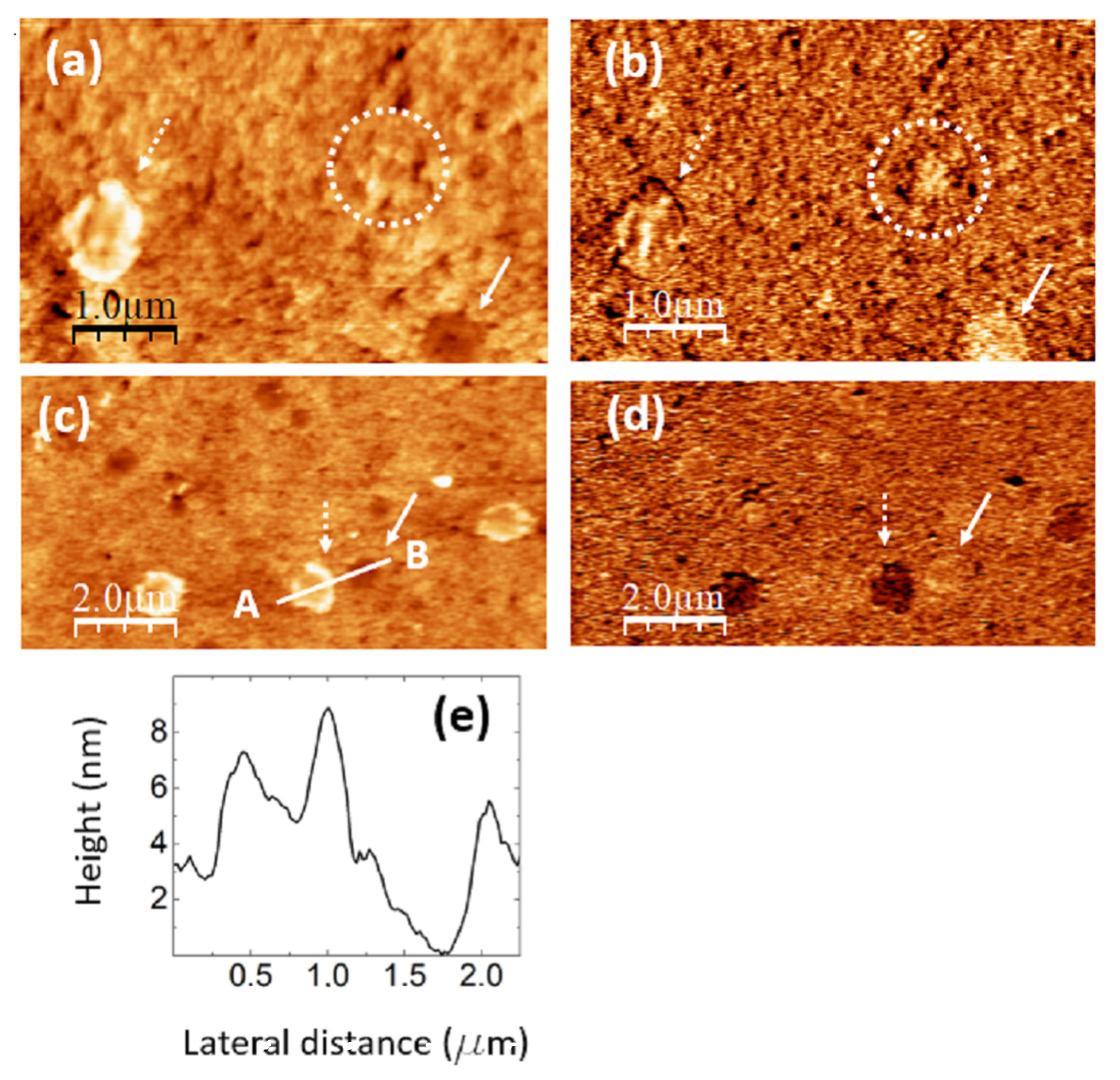 Nanomaterials 14 00005 g008
