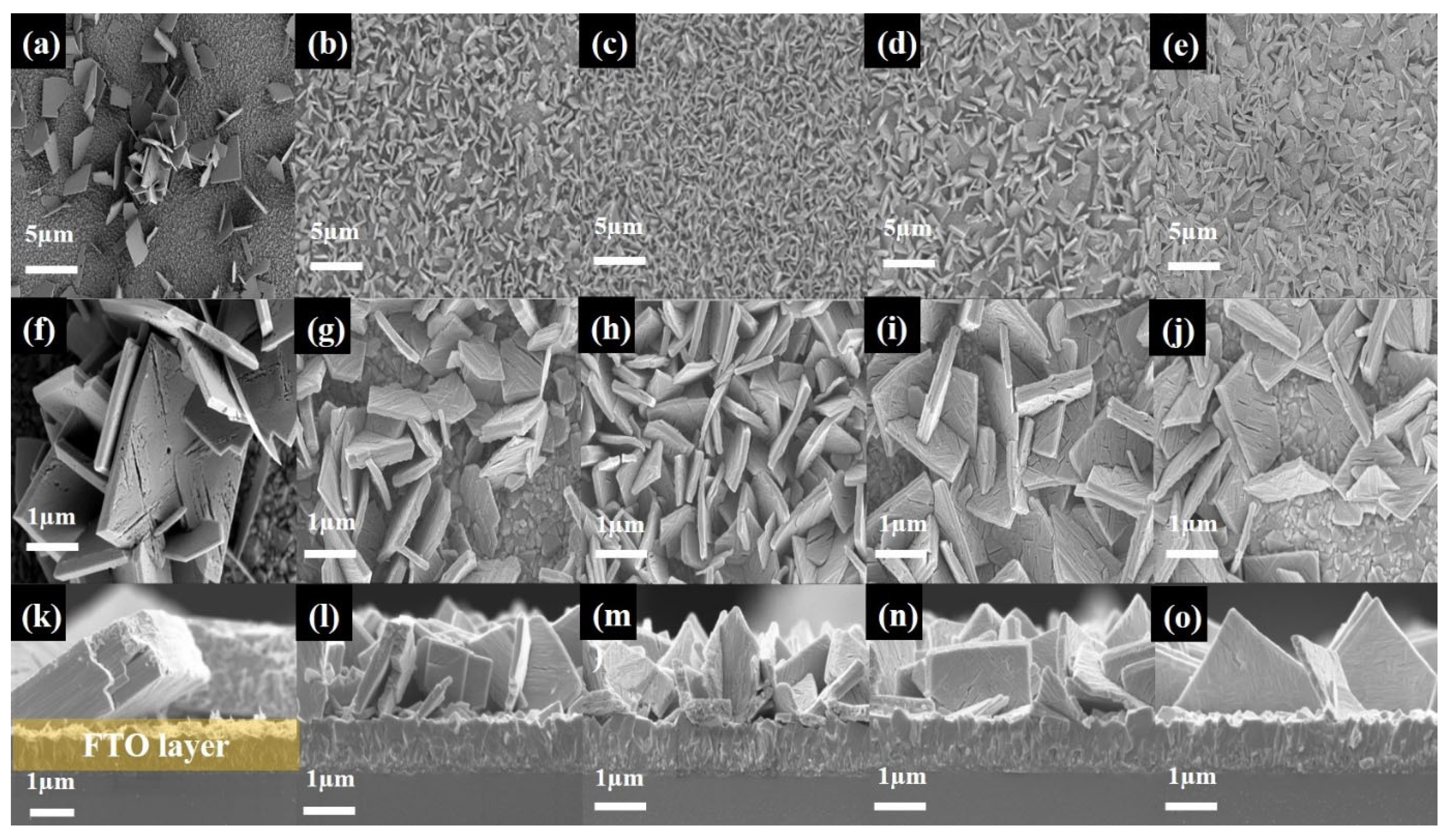Nanomaterials 14 00008 g006
