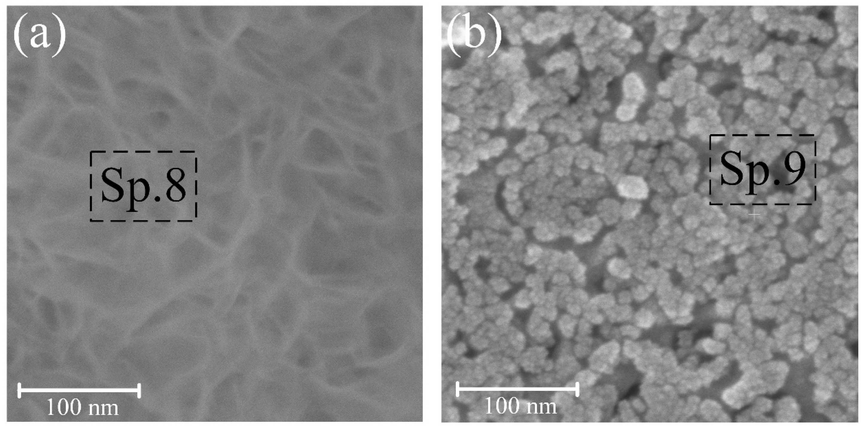 Nanomaterials 14 00015 g005