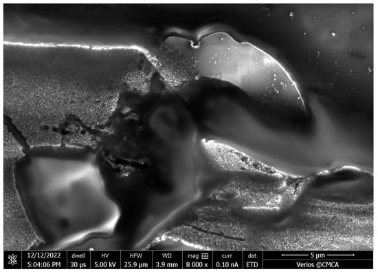 Nanomaterials 14 00019 g0a1