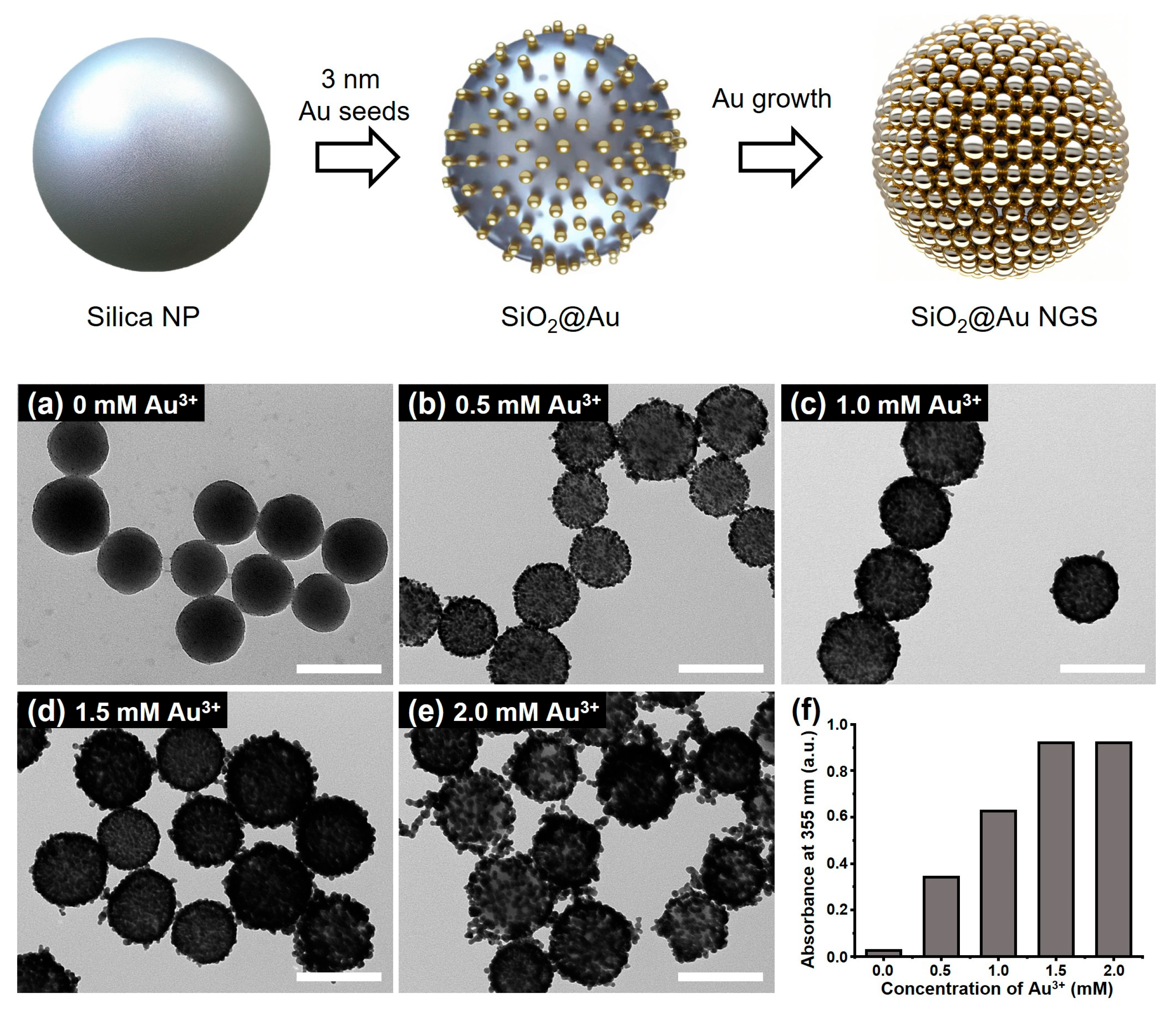 Nanomaterials 14 00025 g001