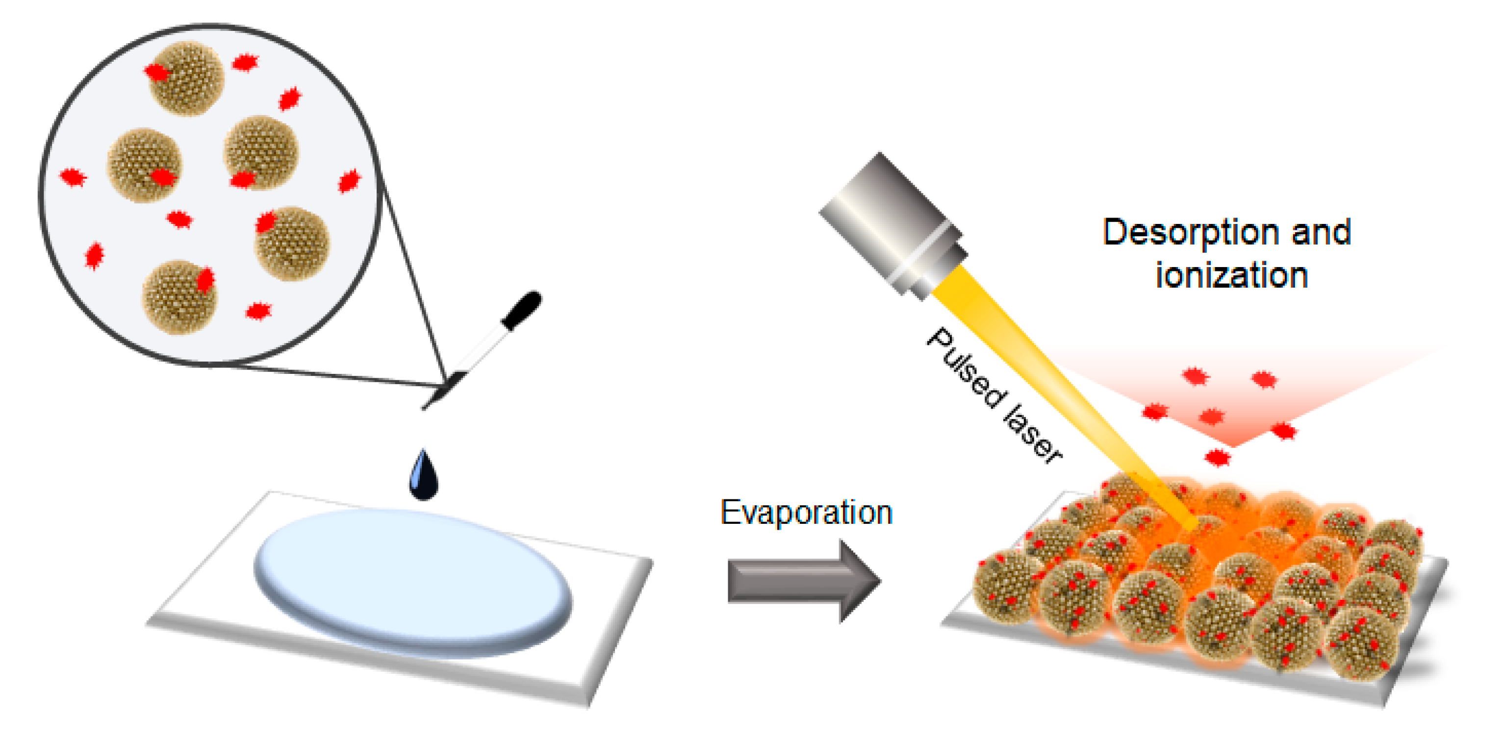 Nanomaterials 14 00025 sch001