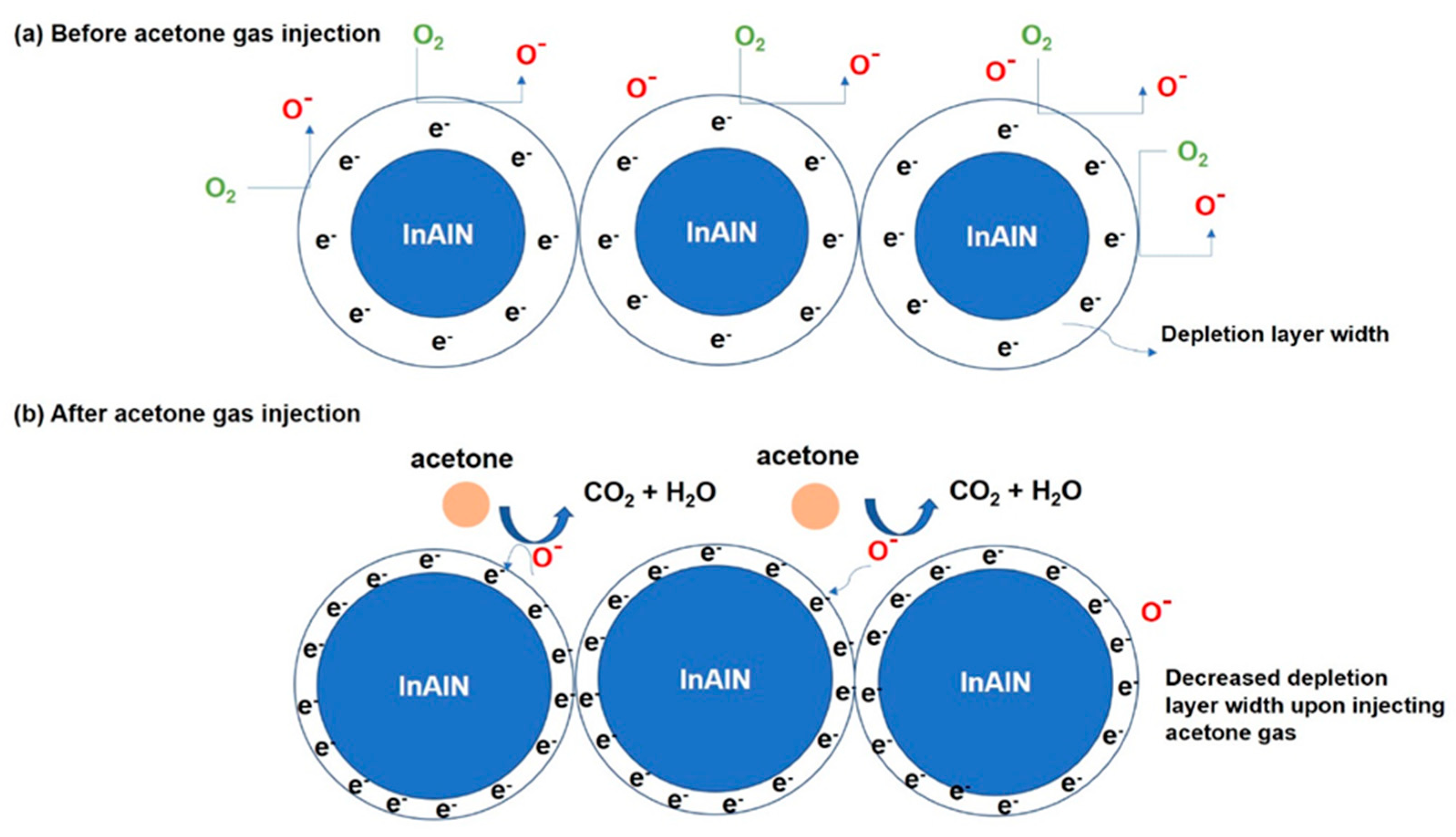 Nanomaterials 14 00026 g007