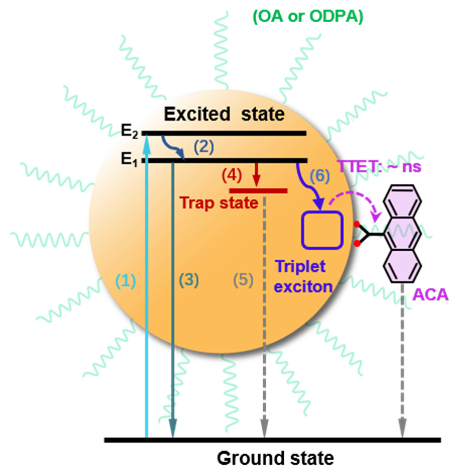 Nanomaterials 14 00034 sch001