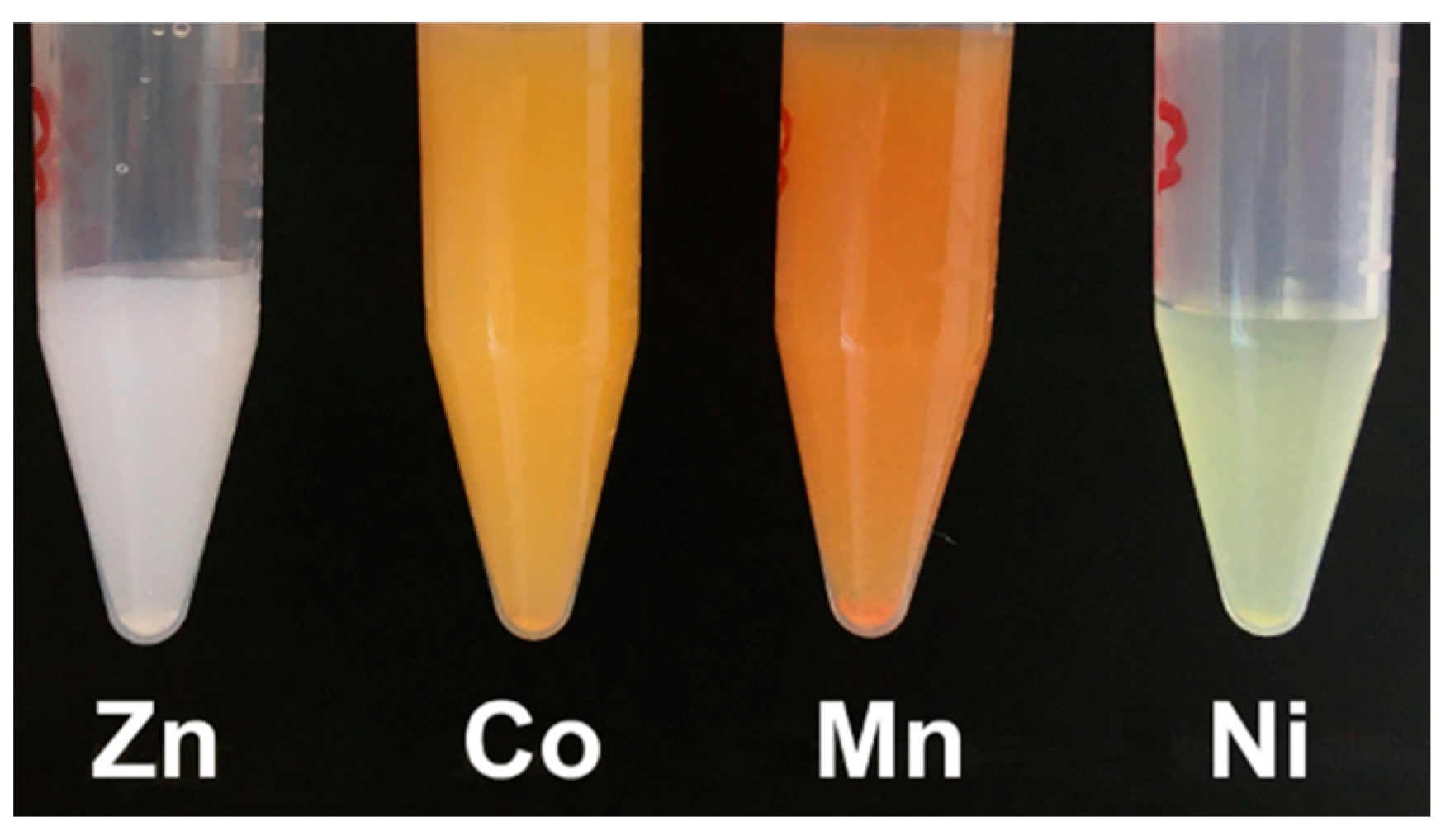 Nanomaterials 14 00038 g001