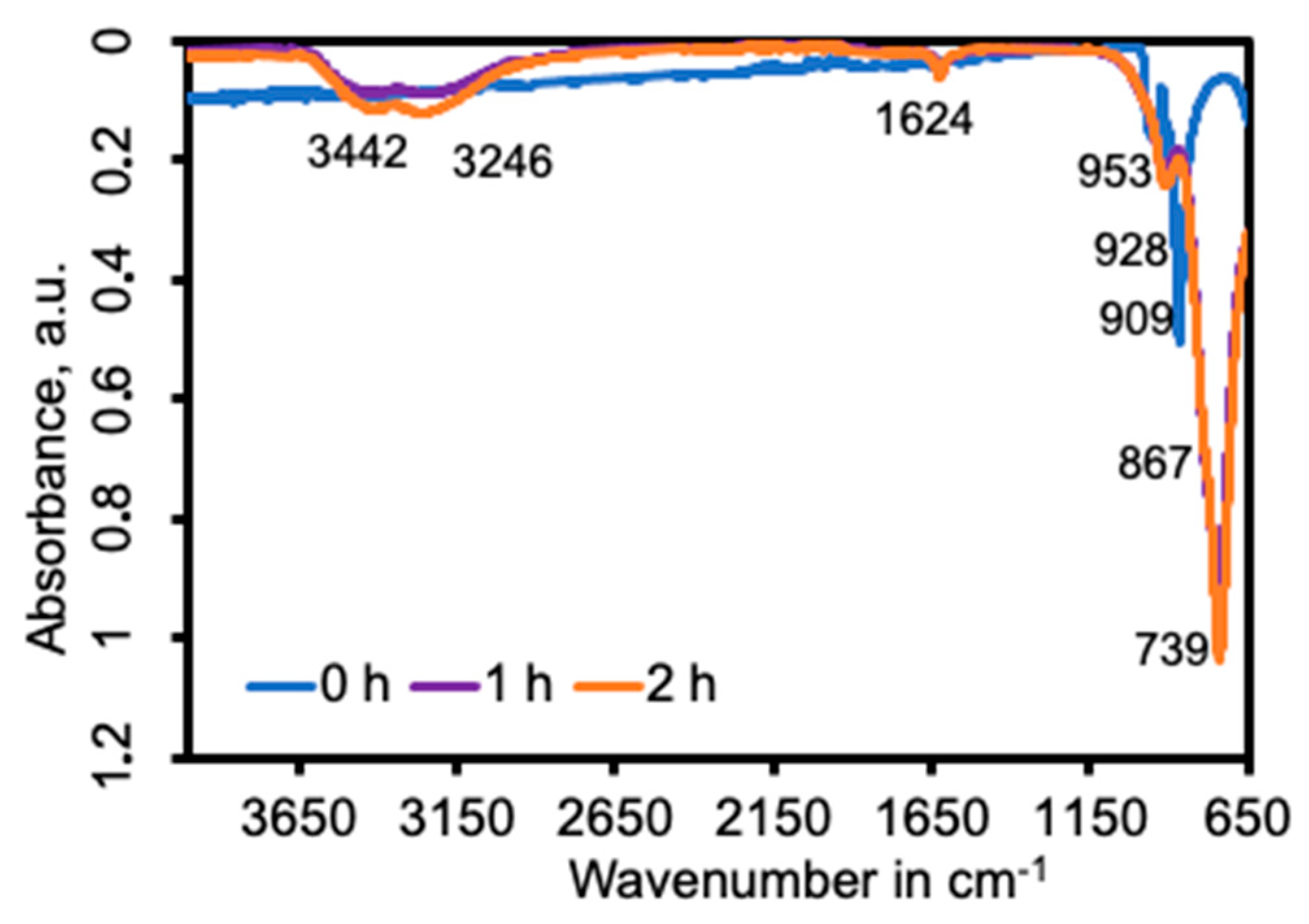 Nanomaterials 14 00038 g007