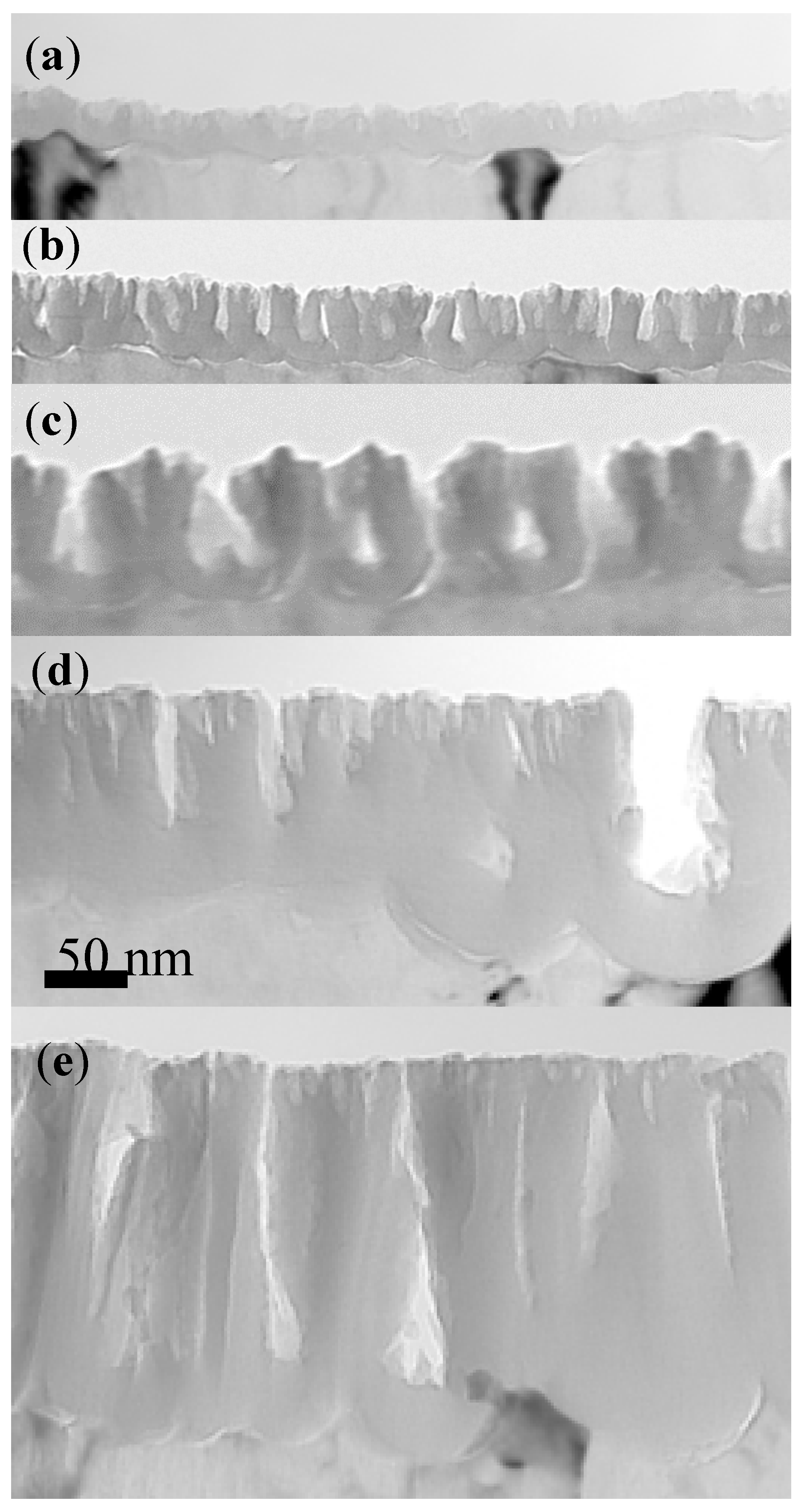 Nanomaterials 14 00042 g003 Nanomaterials 14 00042 g003