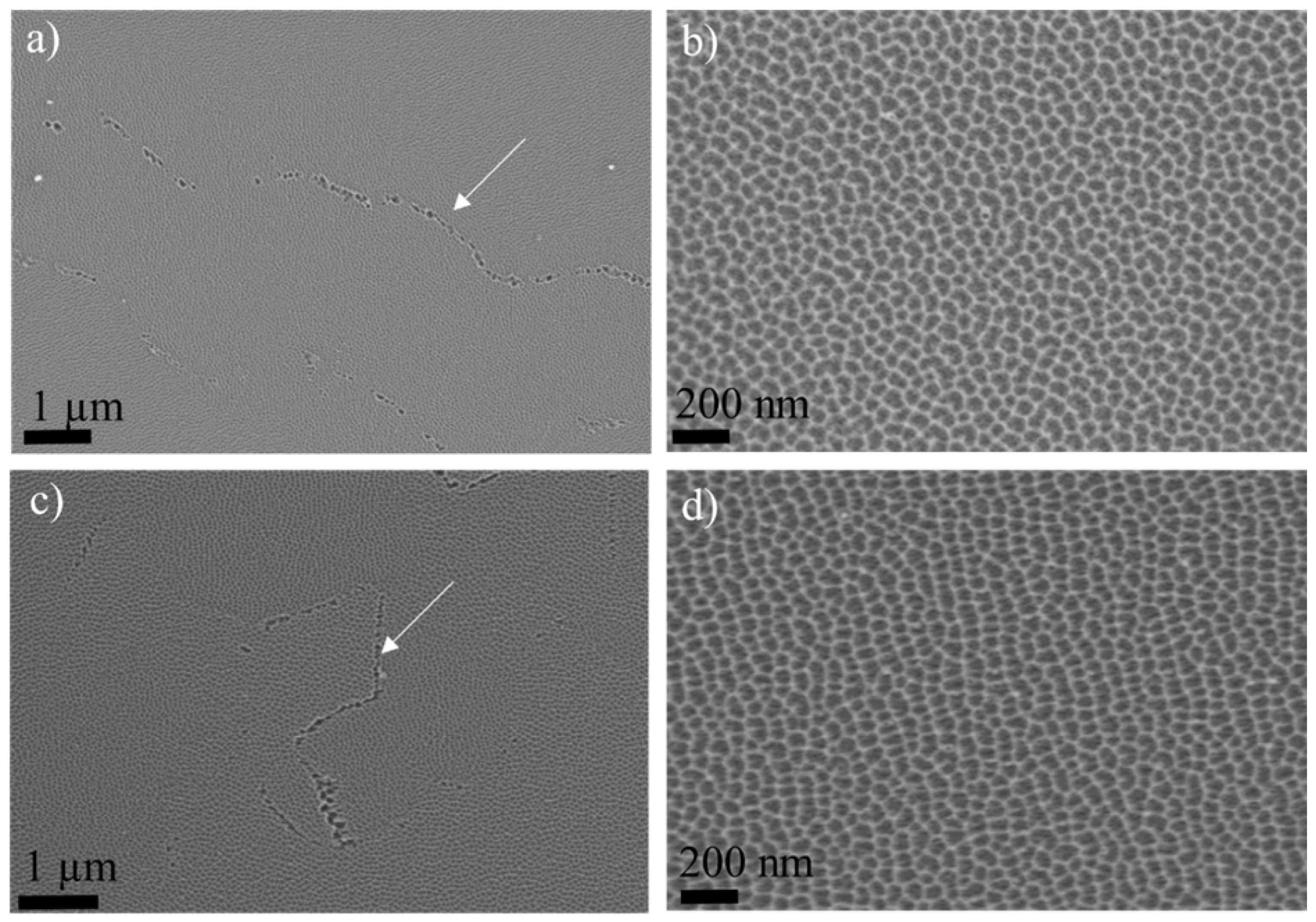 Nanomaterials 14 00042 g004 Nanomaterials 14 00042 g004