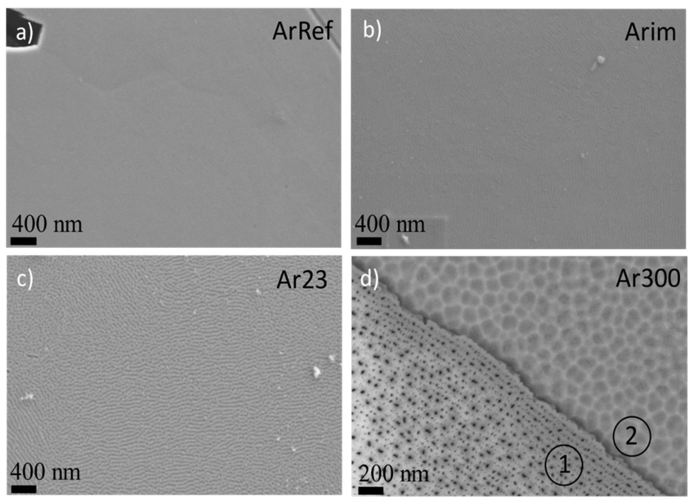 Nanomaterials 14 00042 g006 Nanomaterials 14 00042 g006