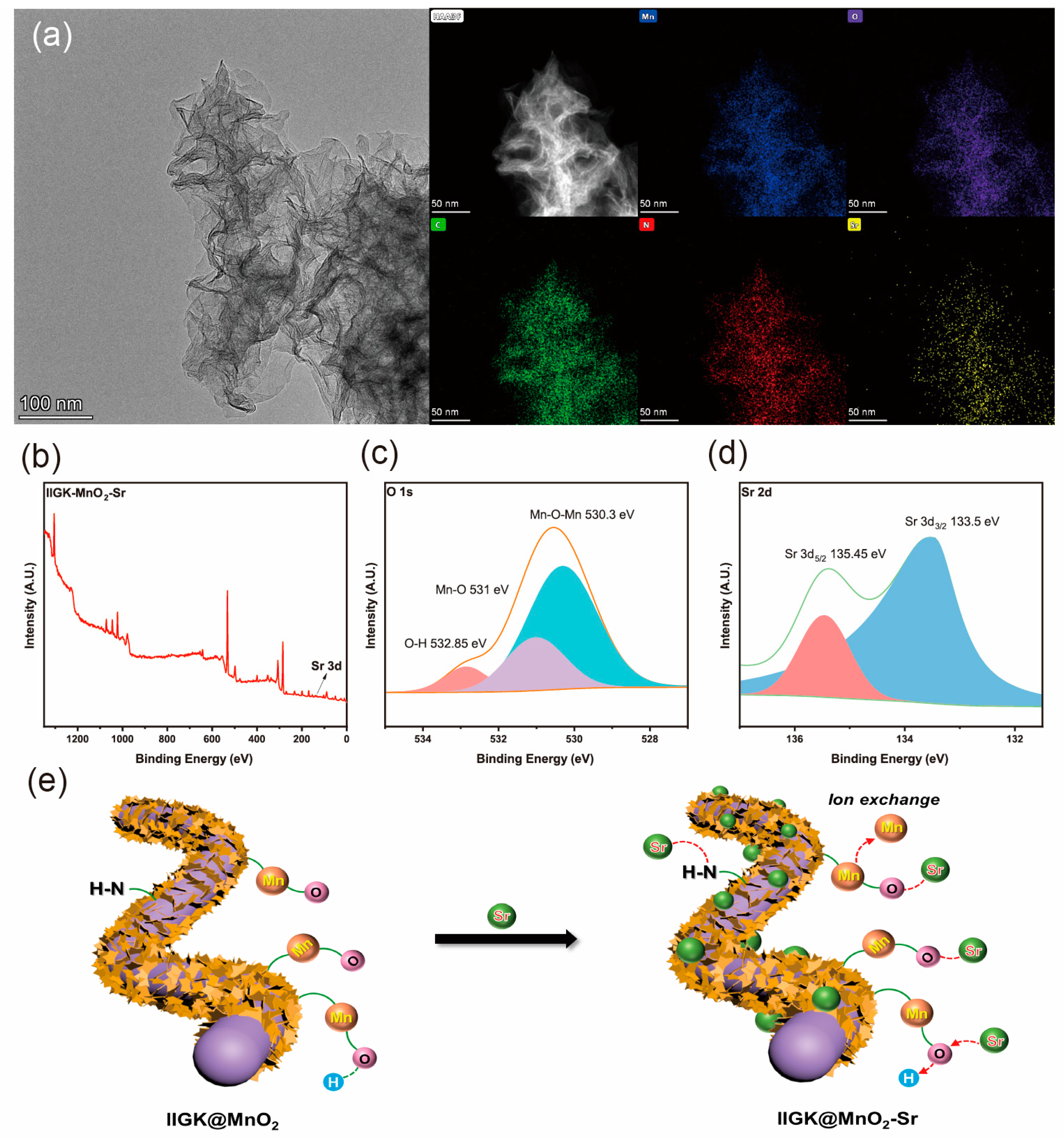 Nanomaterials 14 00052 g007