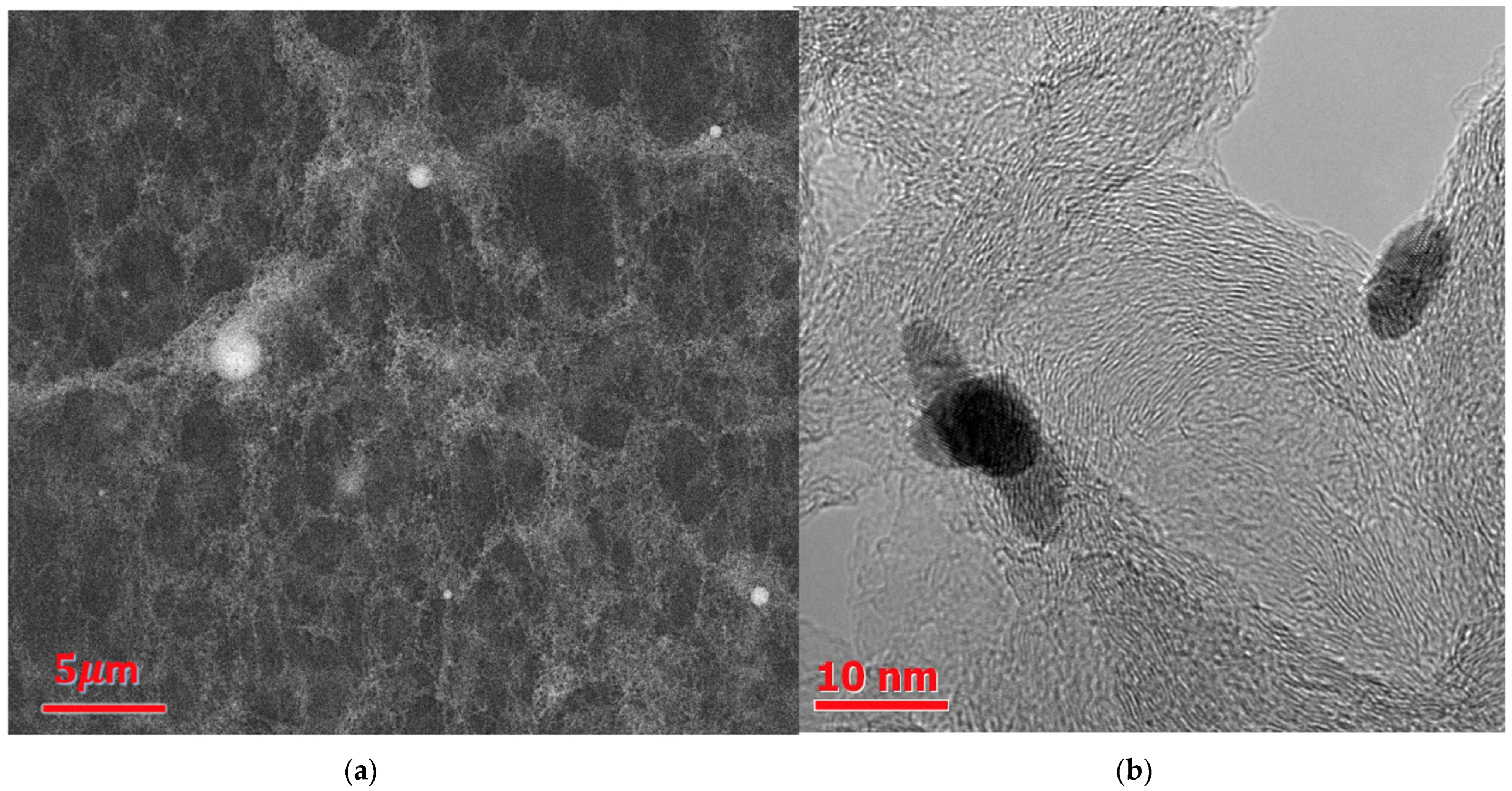 Nanomaterials 14 00056 g0a1
