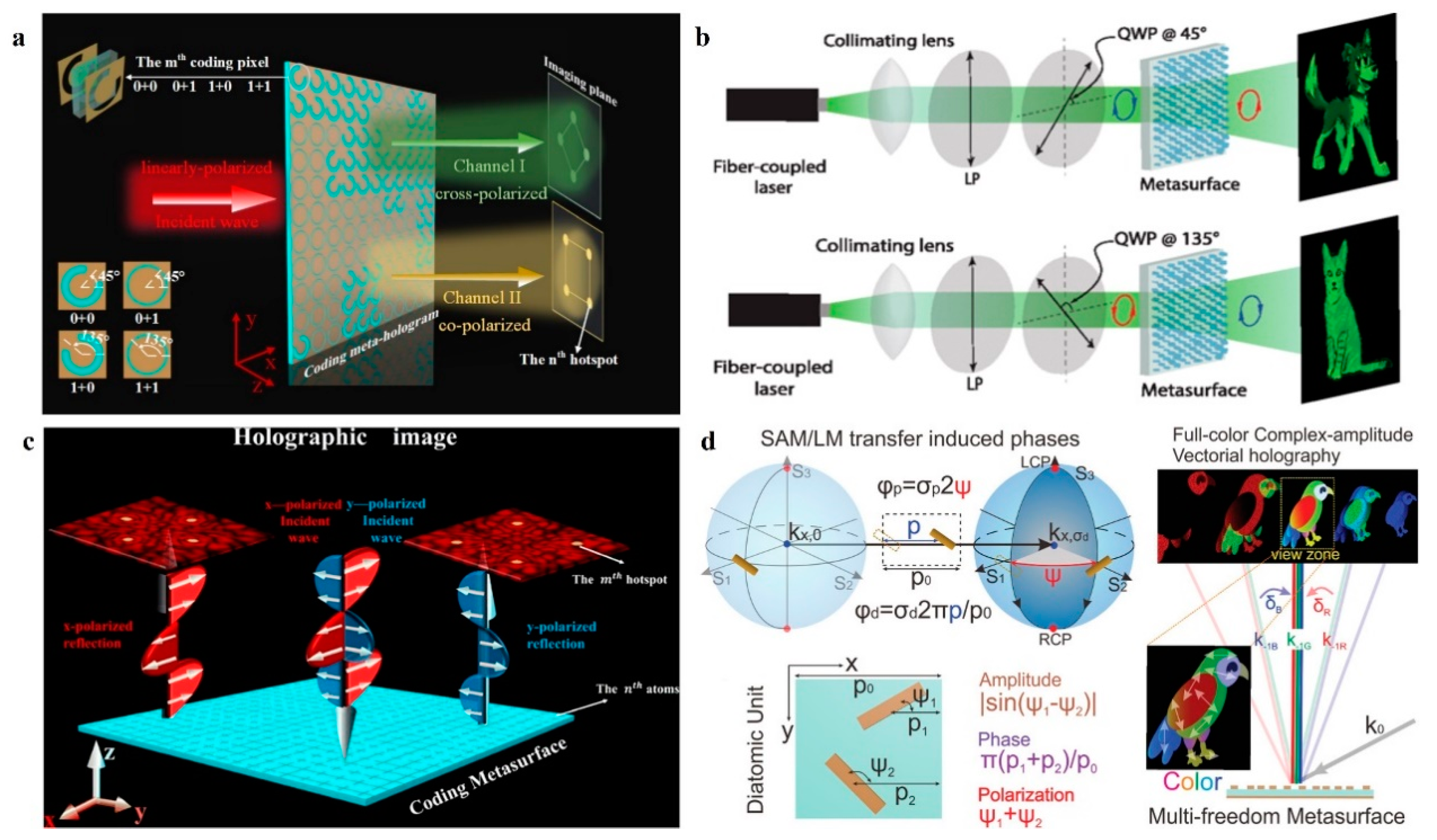 Nanomaterials 14 00066 g007