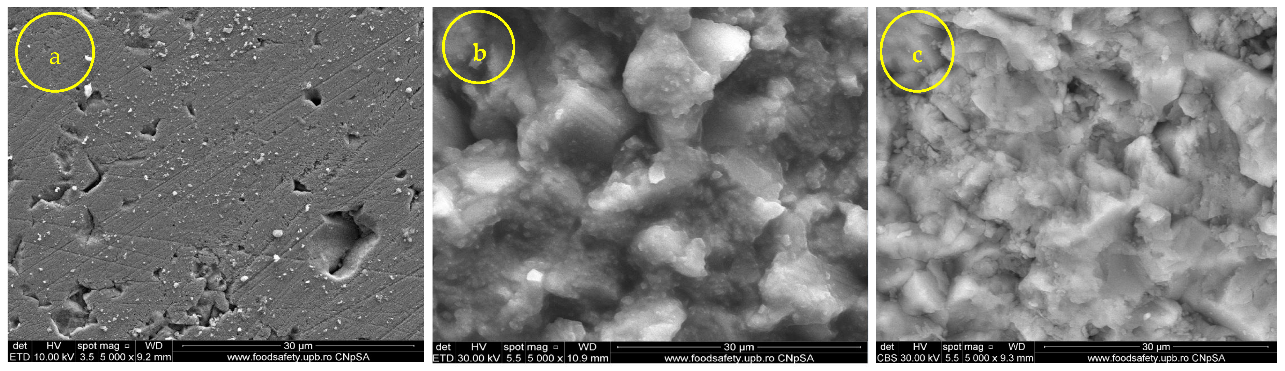 Nanomaterials 14 00068 g007